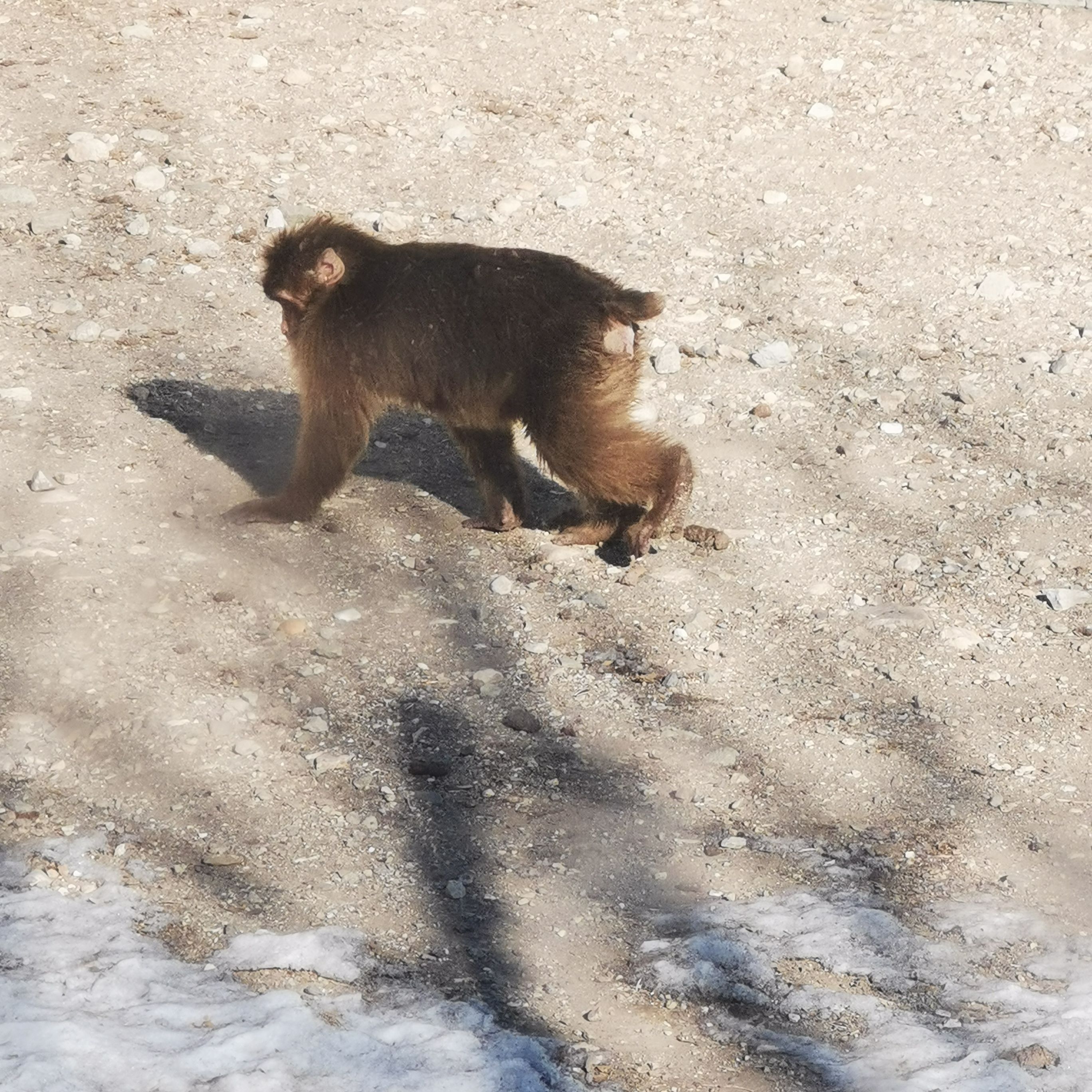 大青山野生动物园旅行图片 2