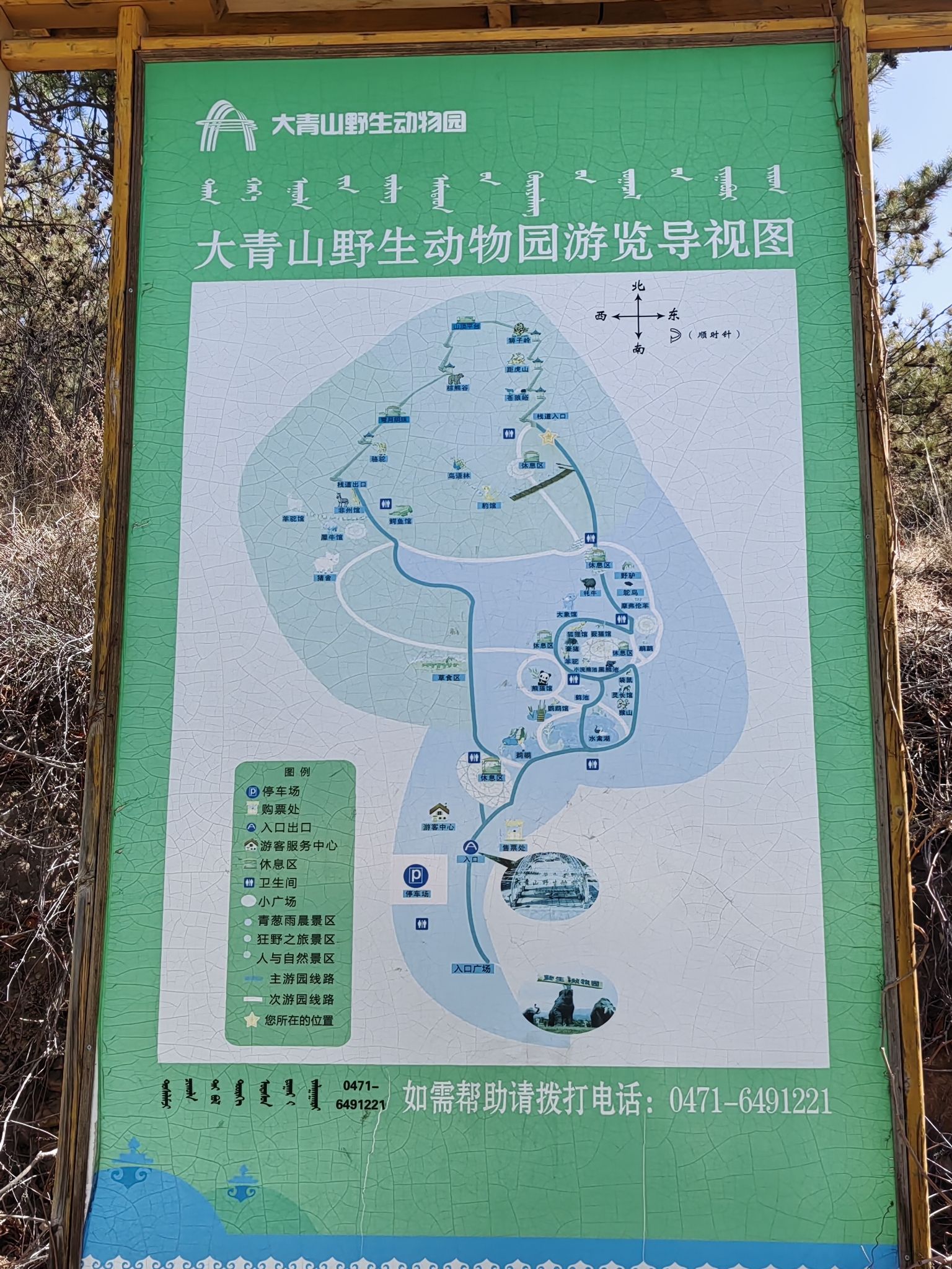 大青山野生动物园旅行图片 3