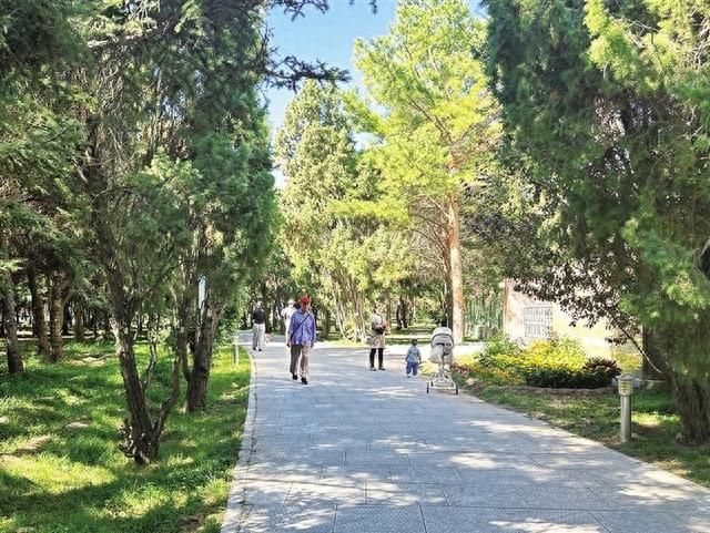 树木园旅行图片 3