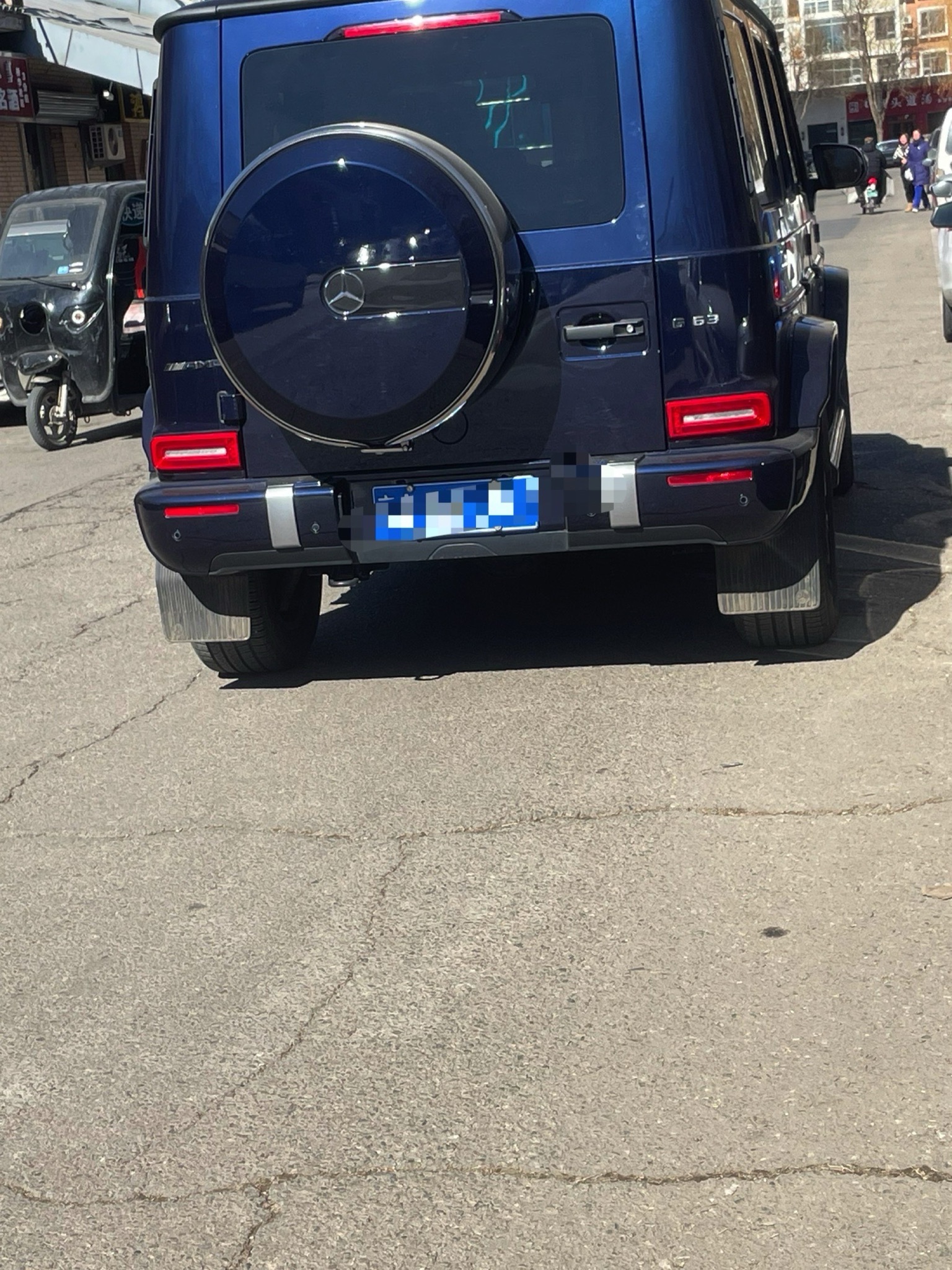 树木园旅行图片 1