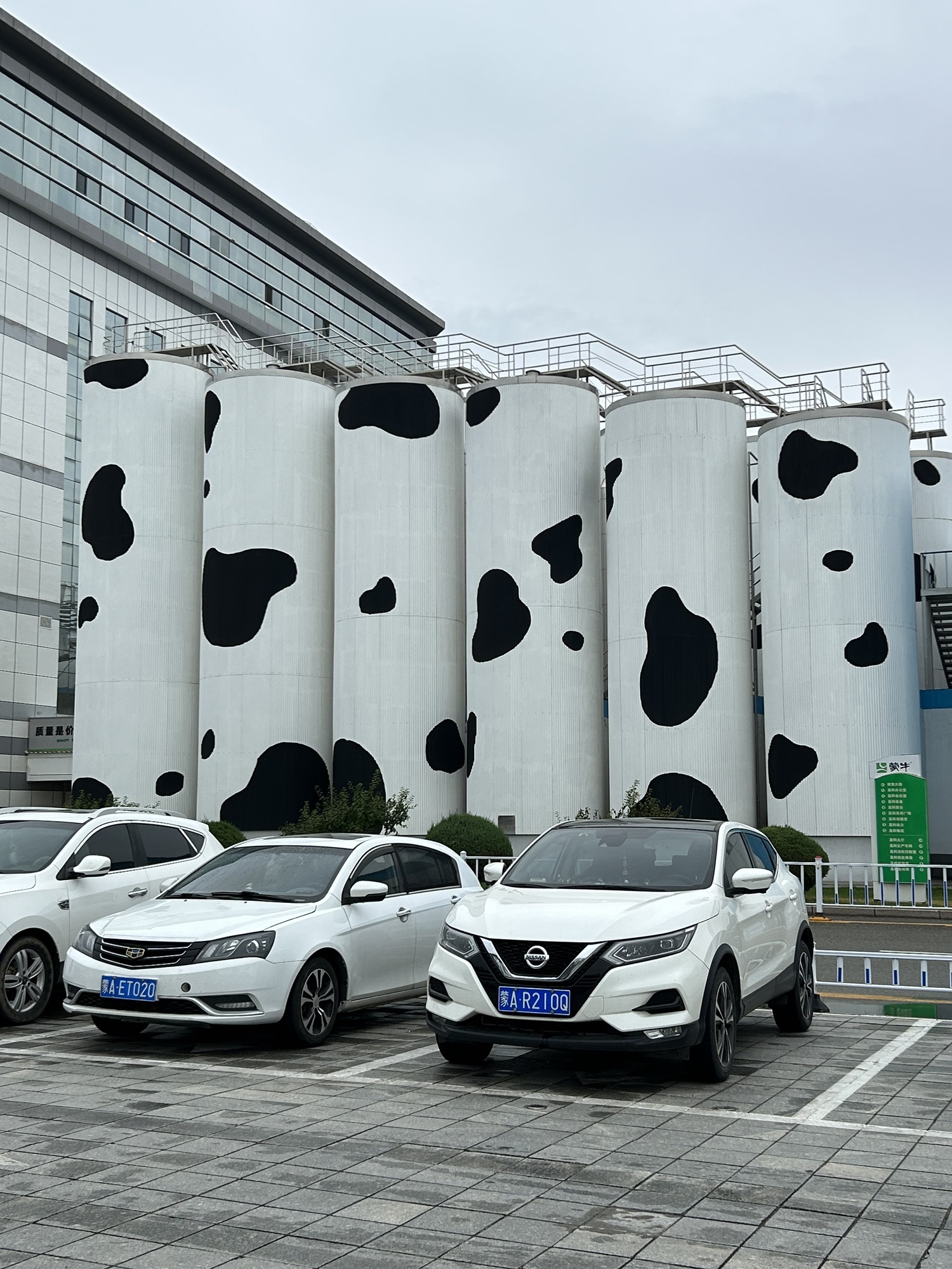 呼和浩特市蒙牛工业旅游景区旅行图片 3