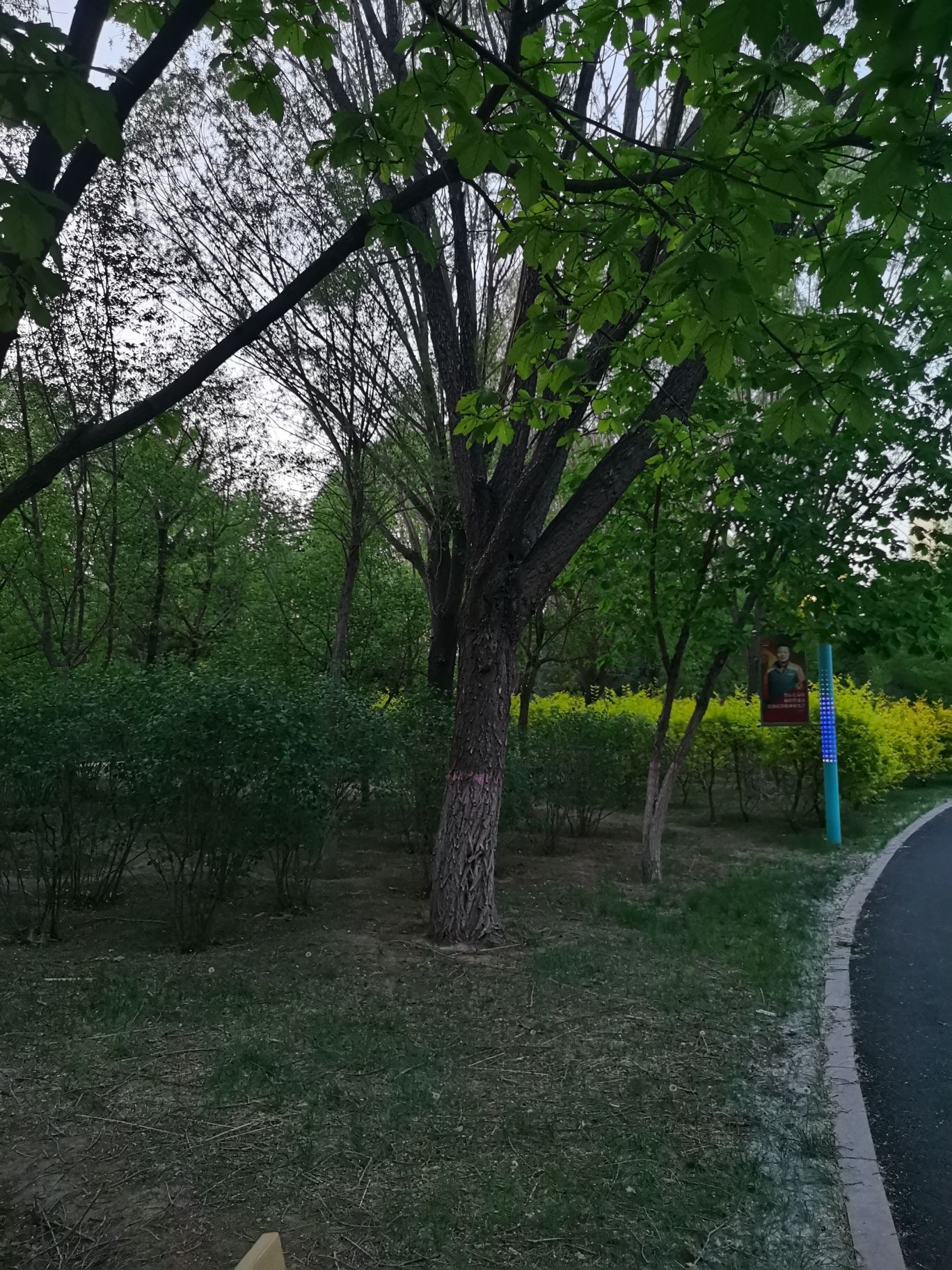 敕勒川公园旅行图片 3