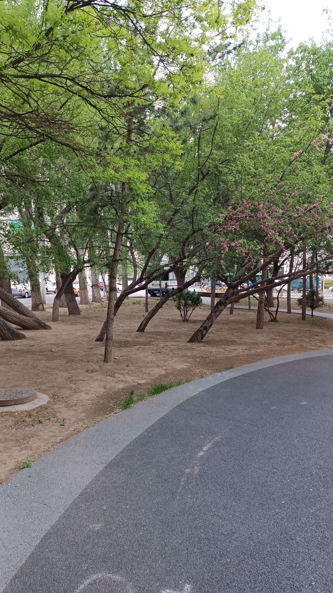 清代绥远城阜安门遗址旅行图片 3