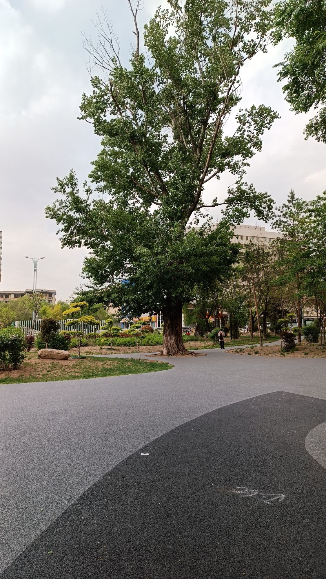 清代绥远城阜安门遗址旅行图片 2