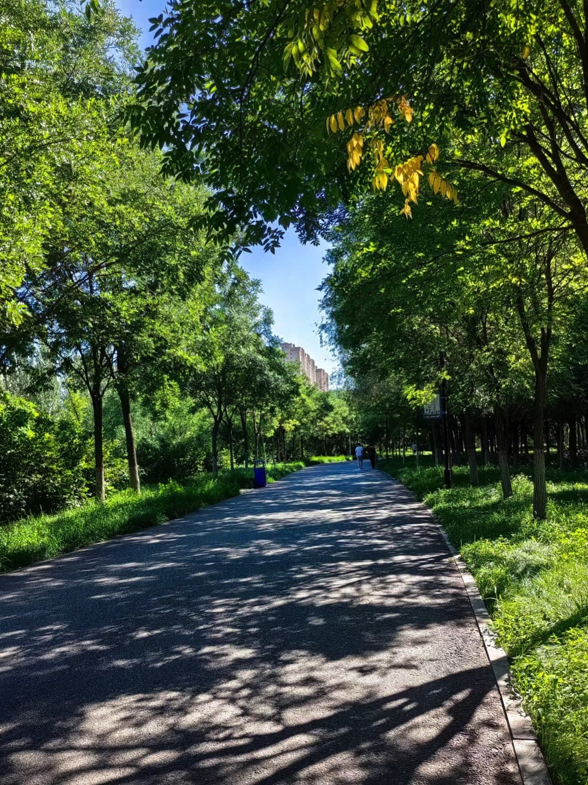 锡林公园旅行图片 1