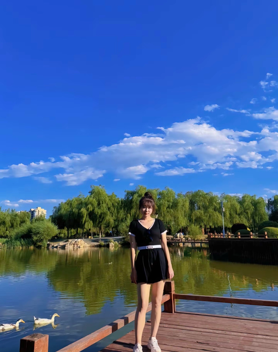 锡林公园旅行图片 1