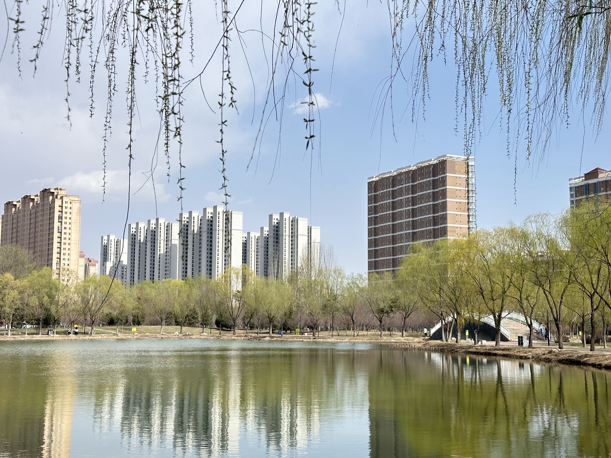 锡林公园旅行图片 3