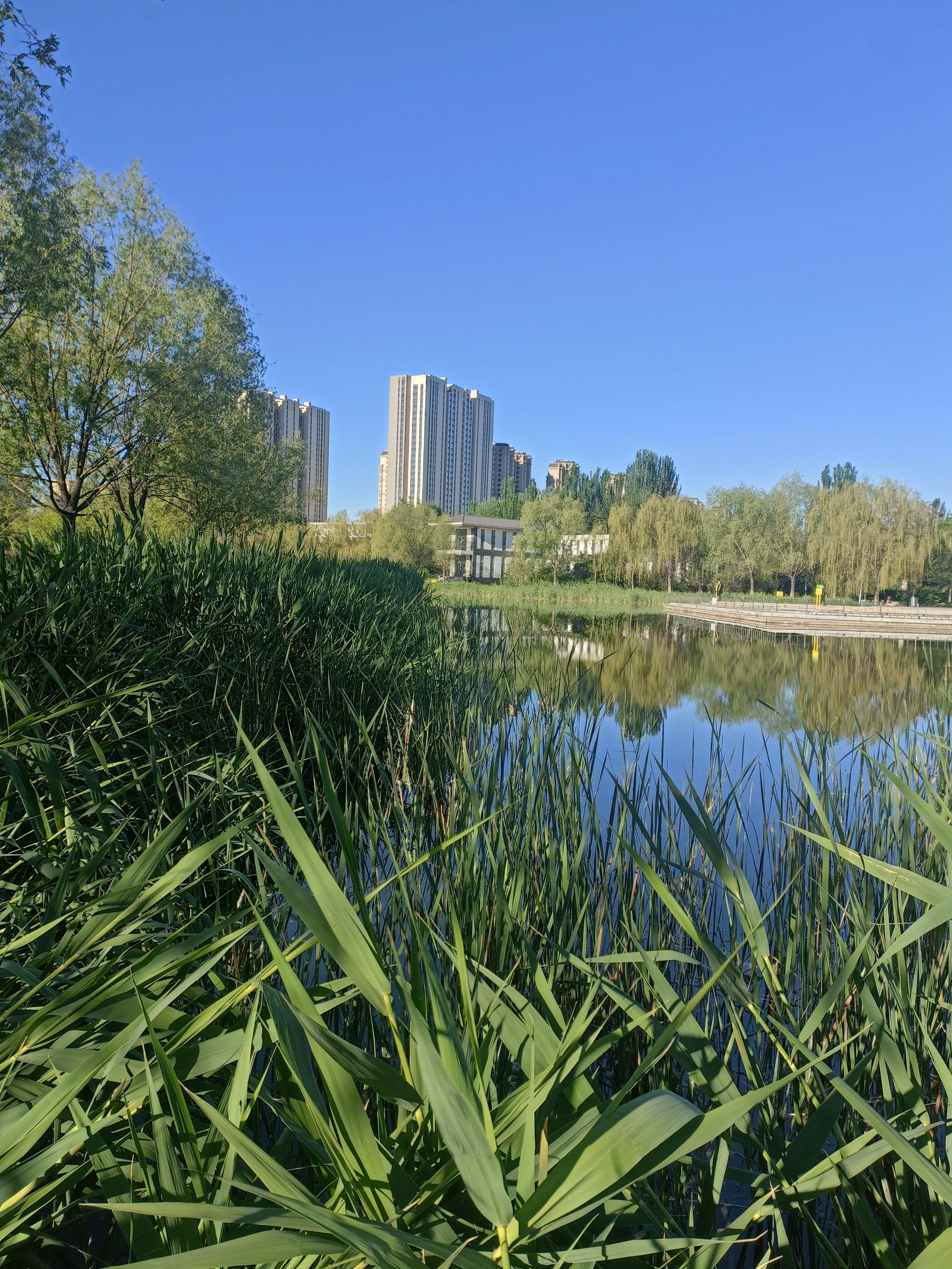 锡林公园旅行图片 3