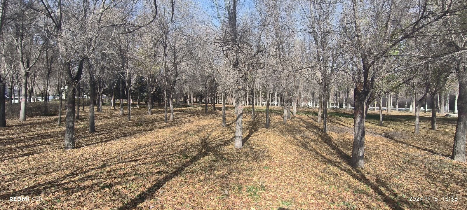 锡林公园旅行图片 3