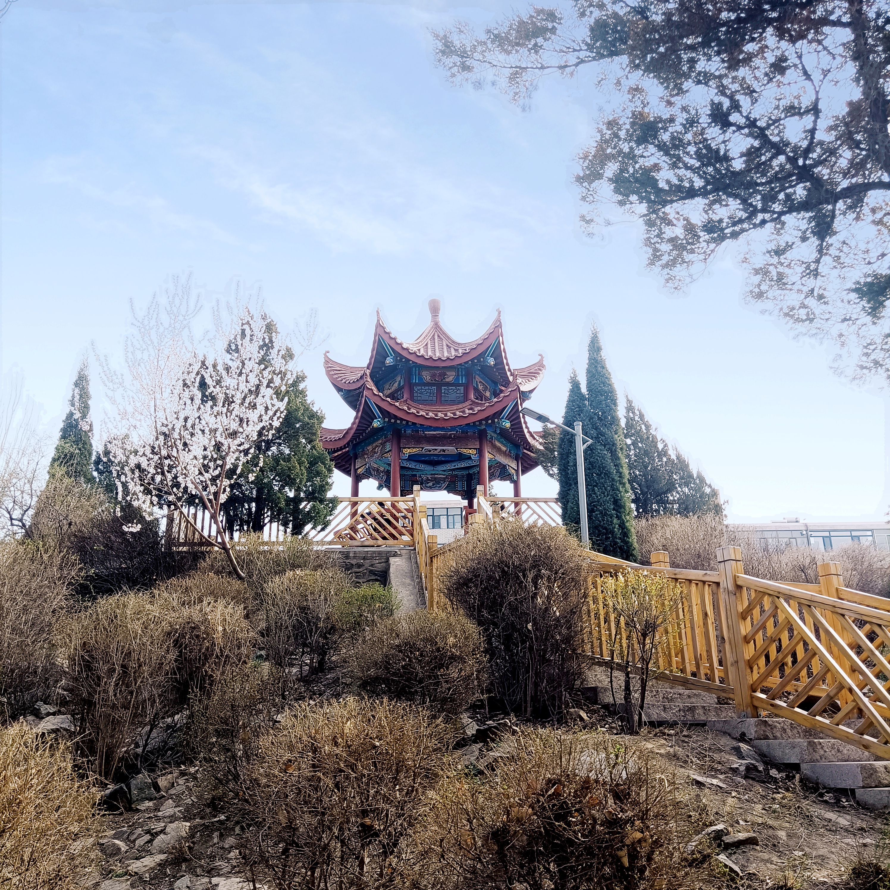 人民公园旅行图片 3