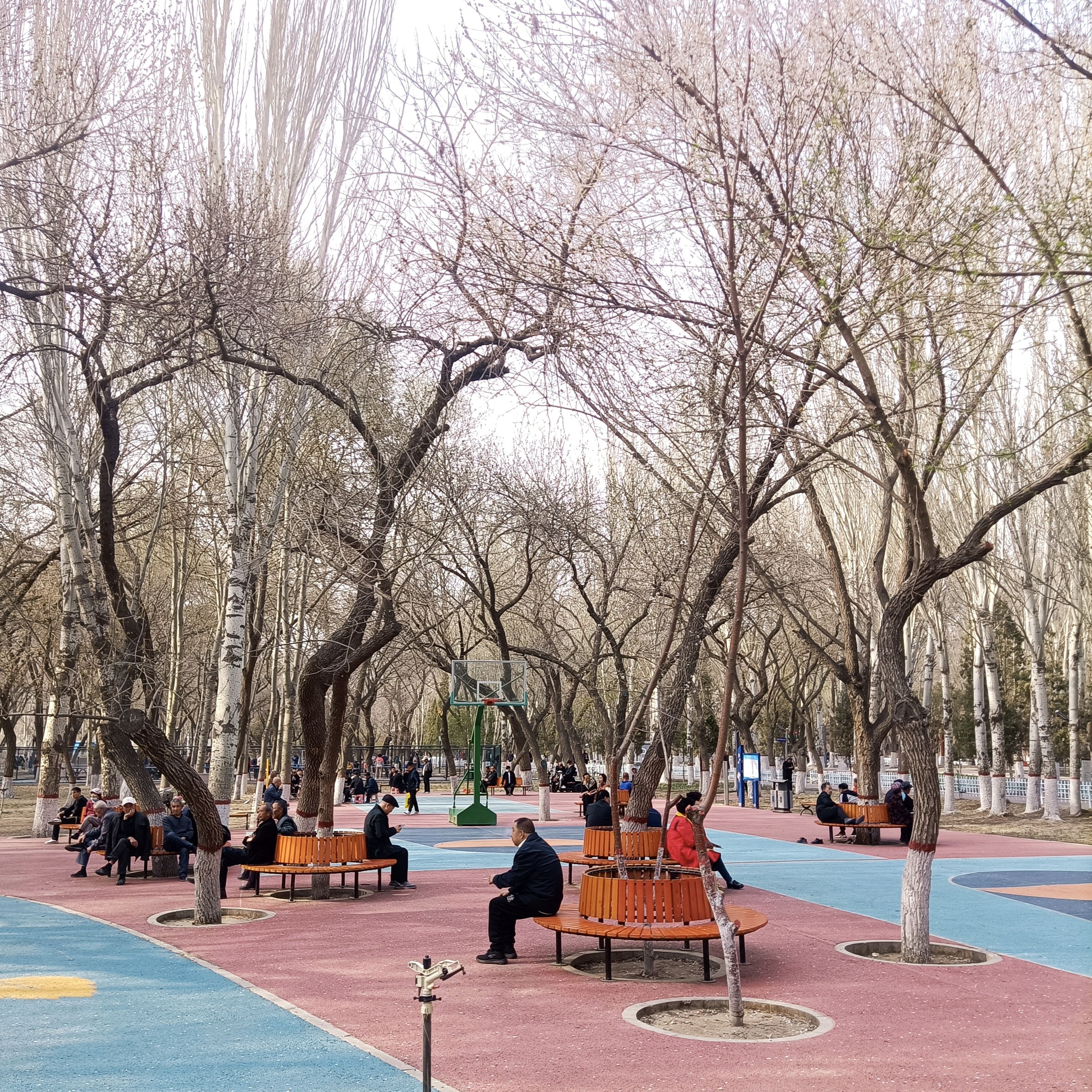 人民公园旅行图片 2
