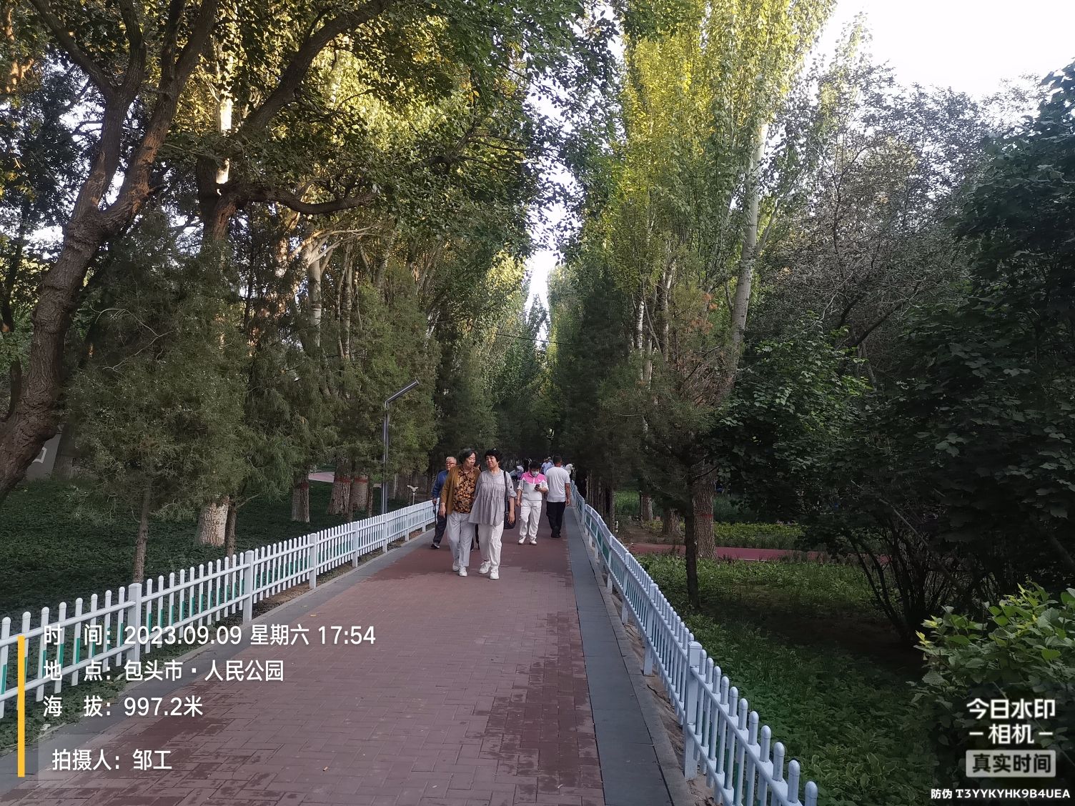 人民公园旅行图片 2