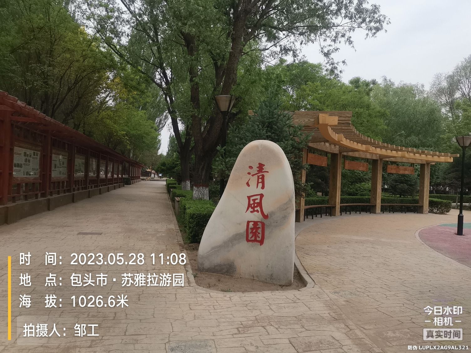苏雅拉游园旅行图片 3