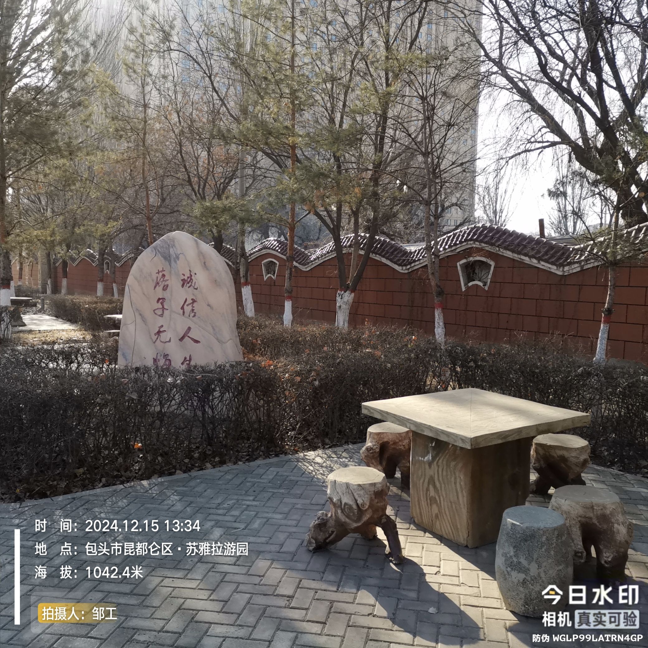 苏雅拉游园旅行图片 1