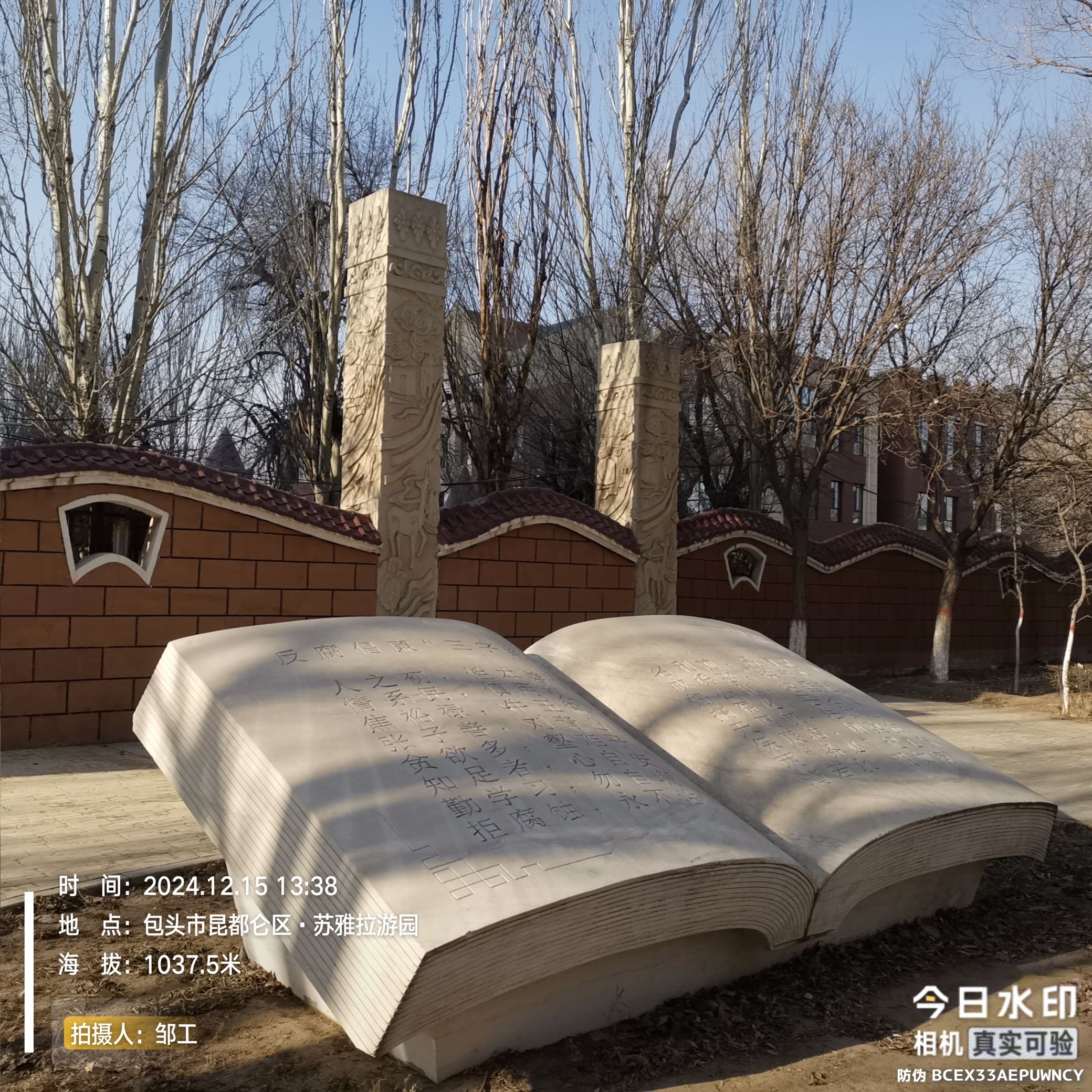 苏雅拉游园旅行图片 3