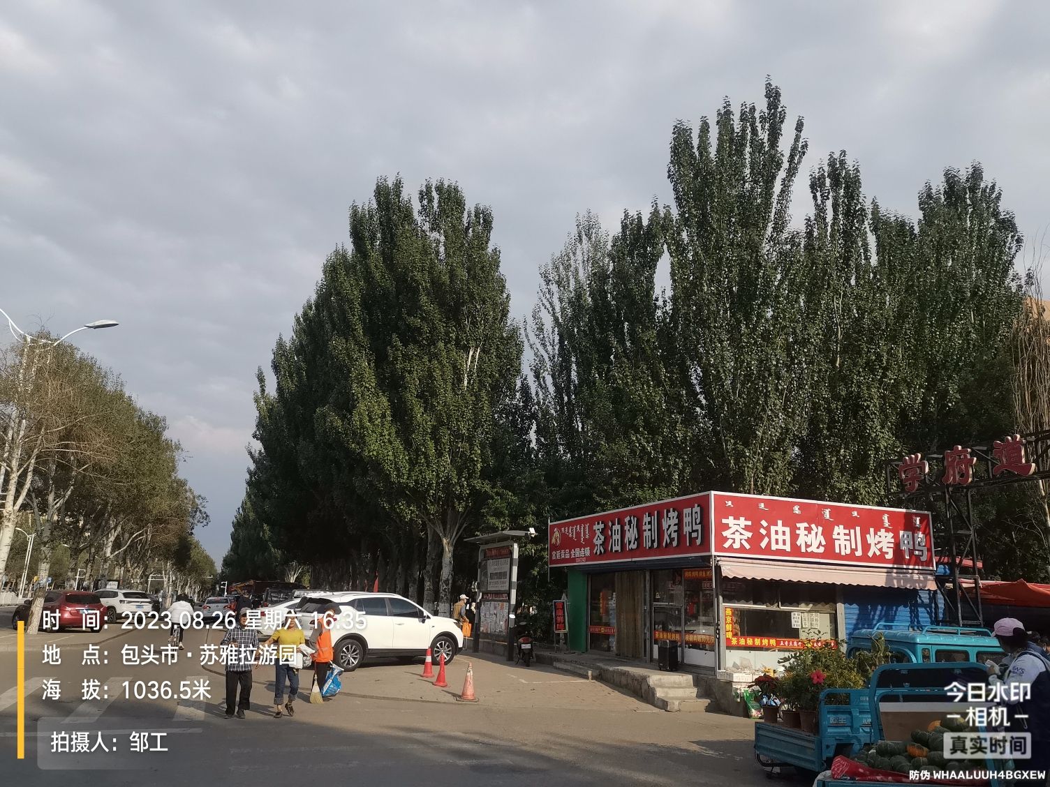 苏雅拉游园旅行图片 1