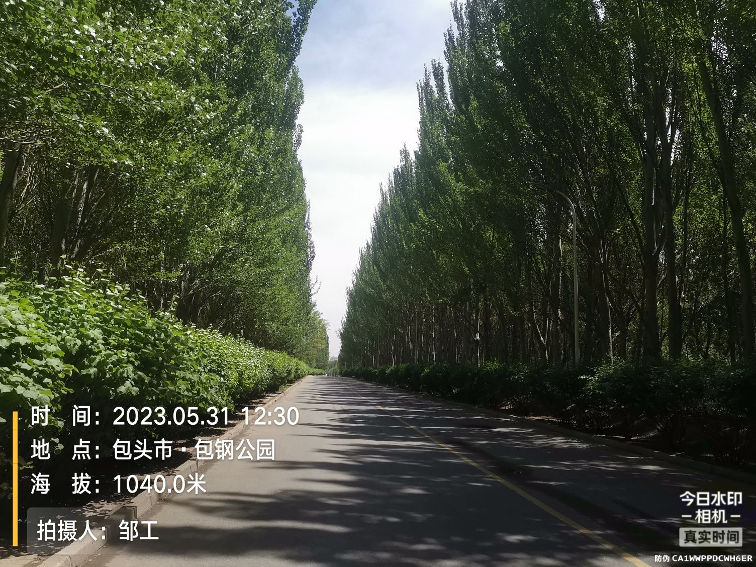 包钢公园旅行图片 2