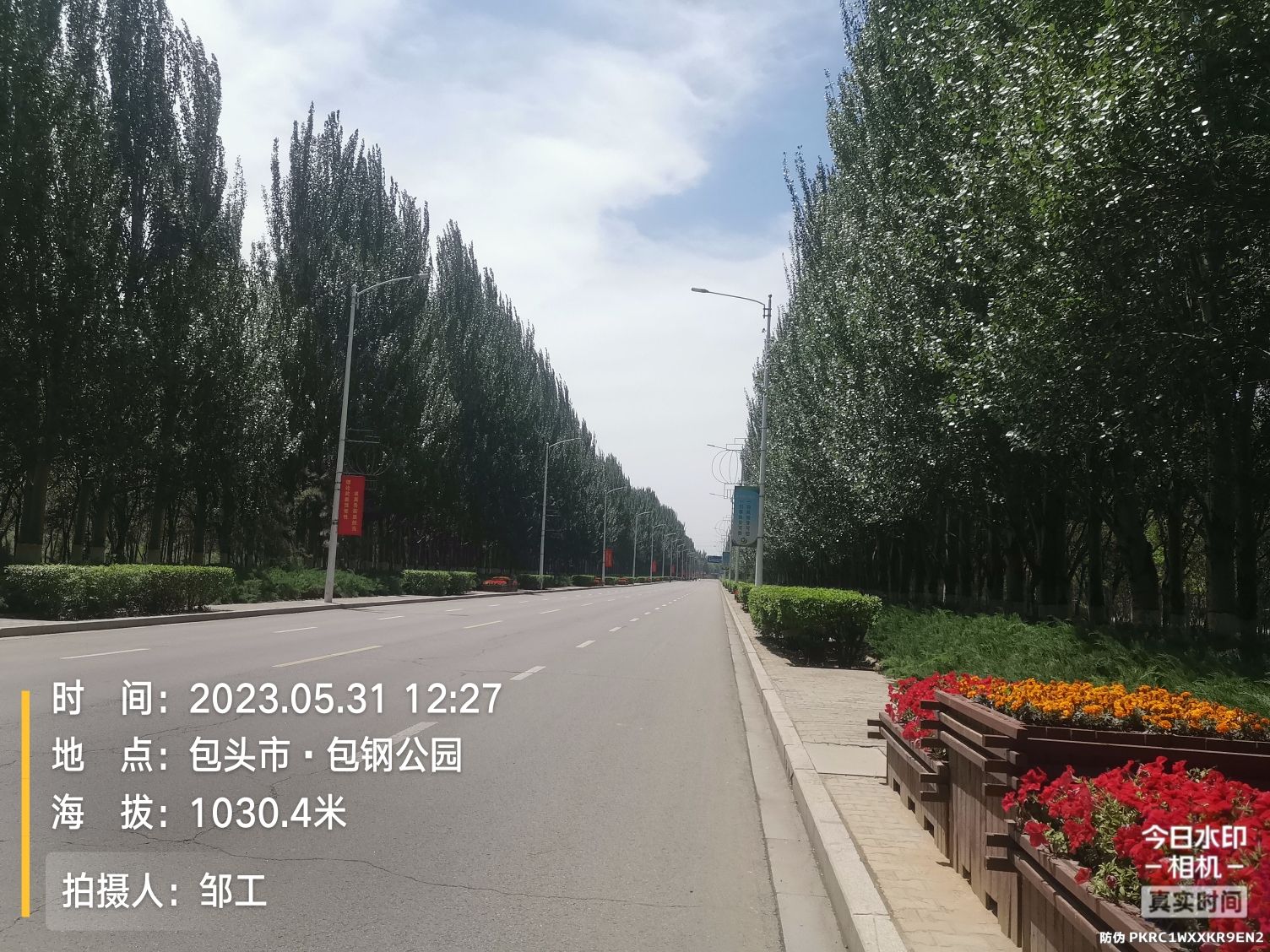 包钢公园旅行图片 1