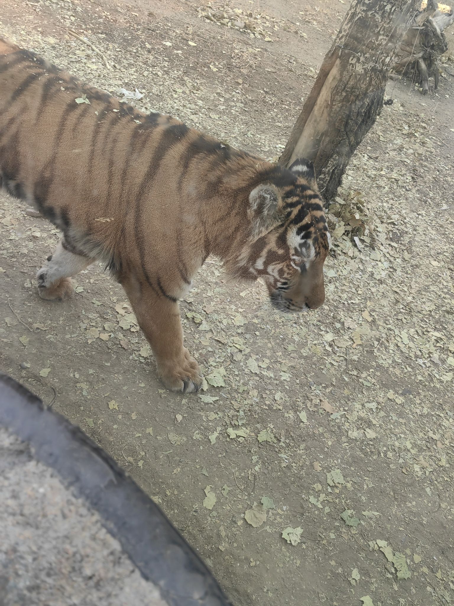 劳动公园旅行图片 1