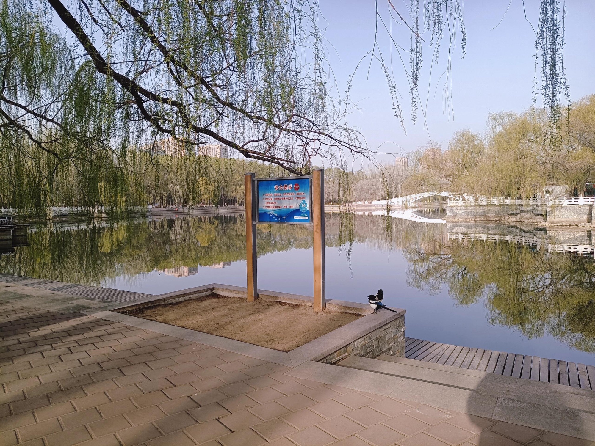 劳动公园旅行图片 1