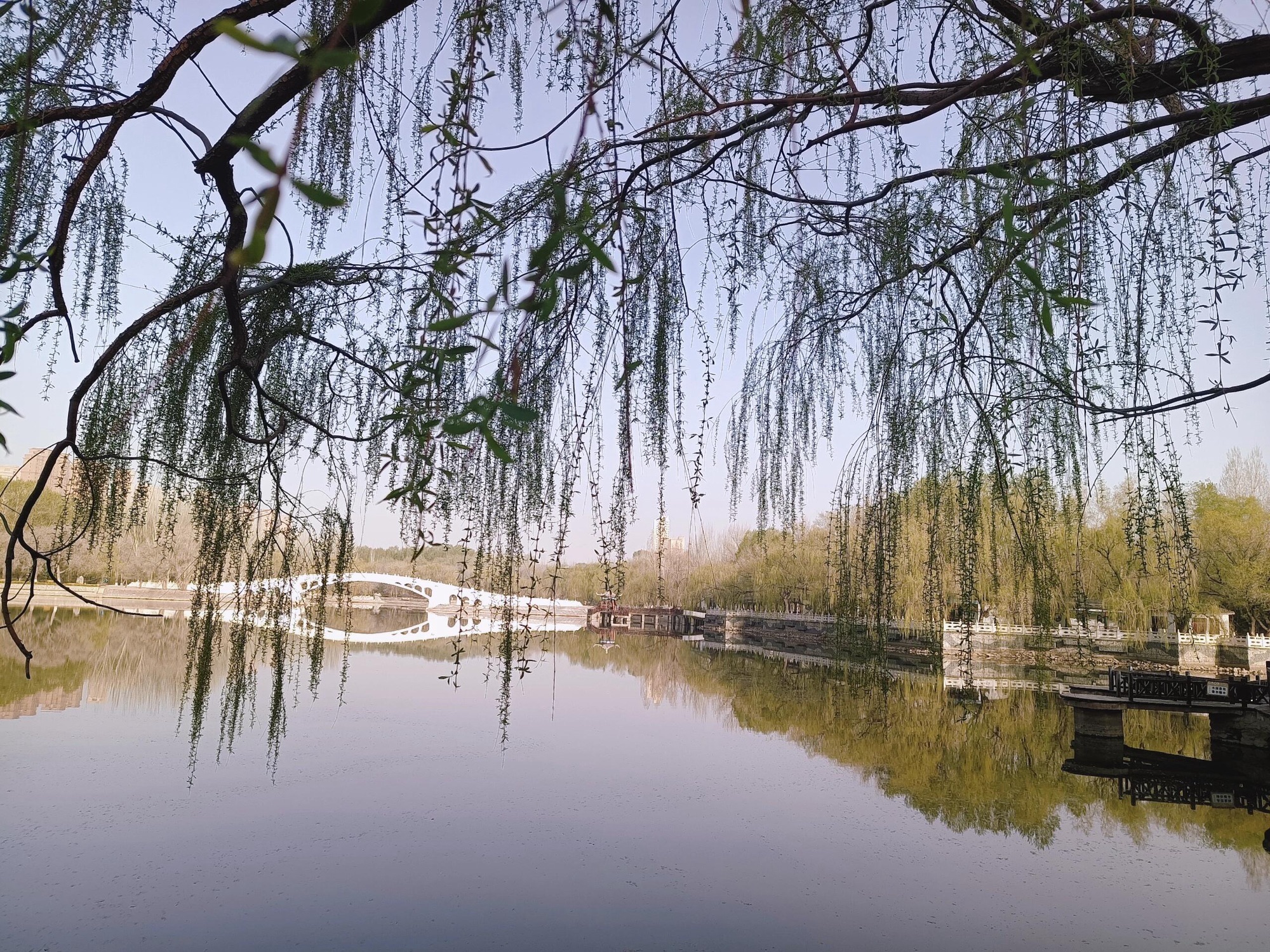 劳动公园旅行图片 2