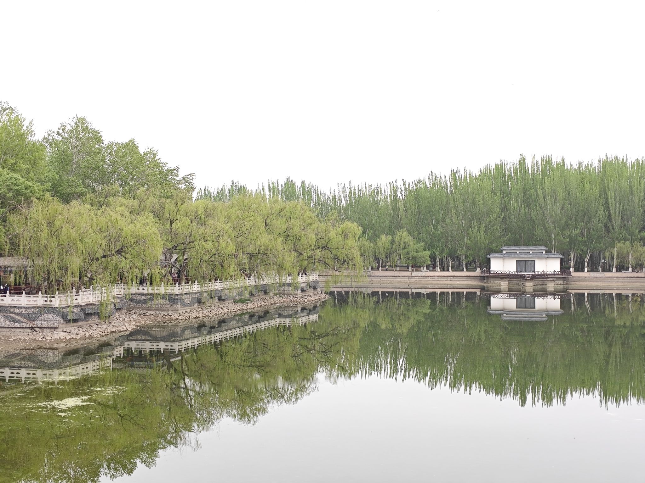 劳动公园旅行图片 3