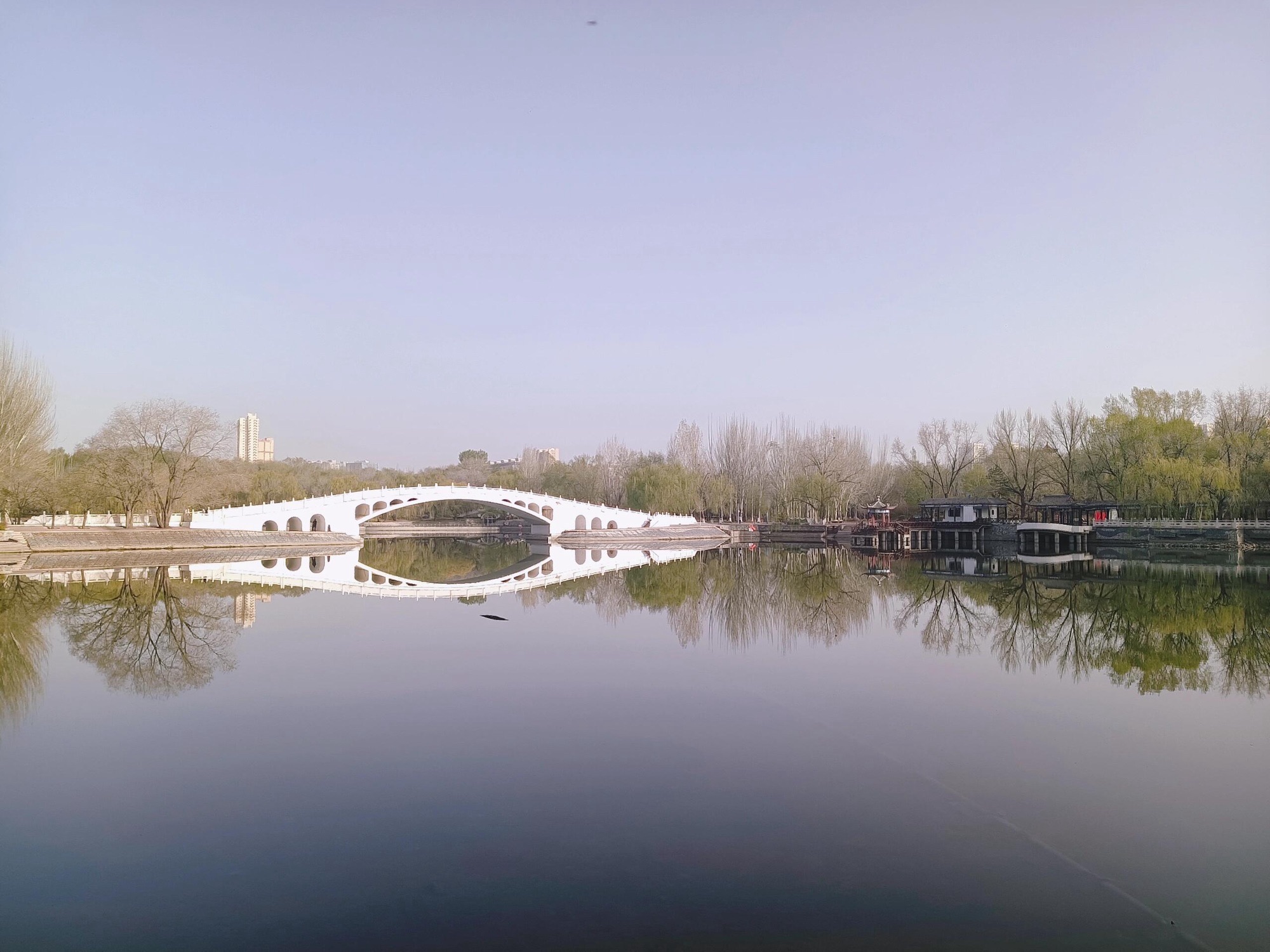 劳动公园旅行图片 3