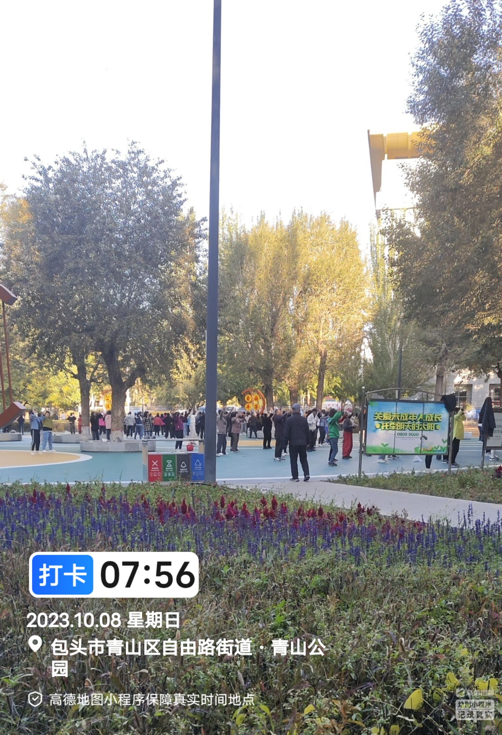 青山公园旅行图片 3