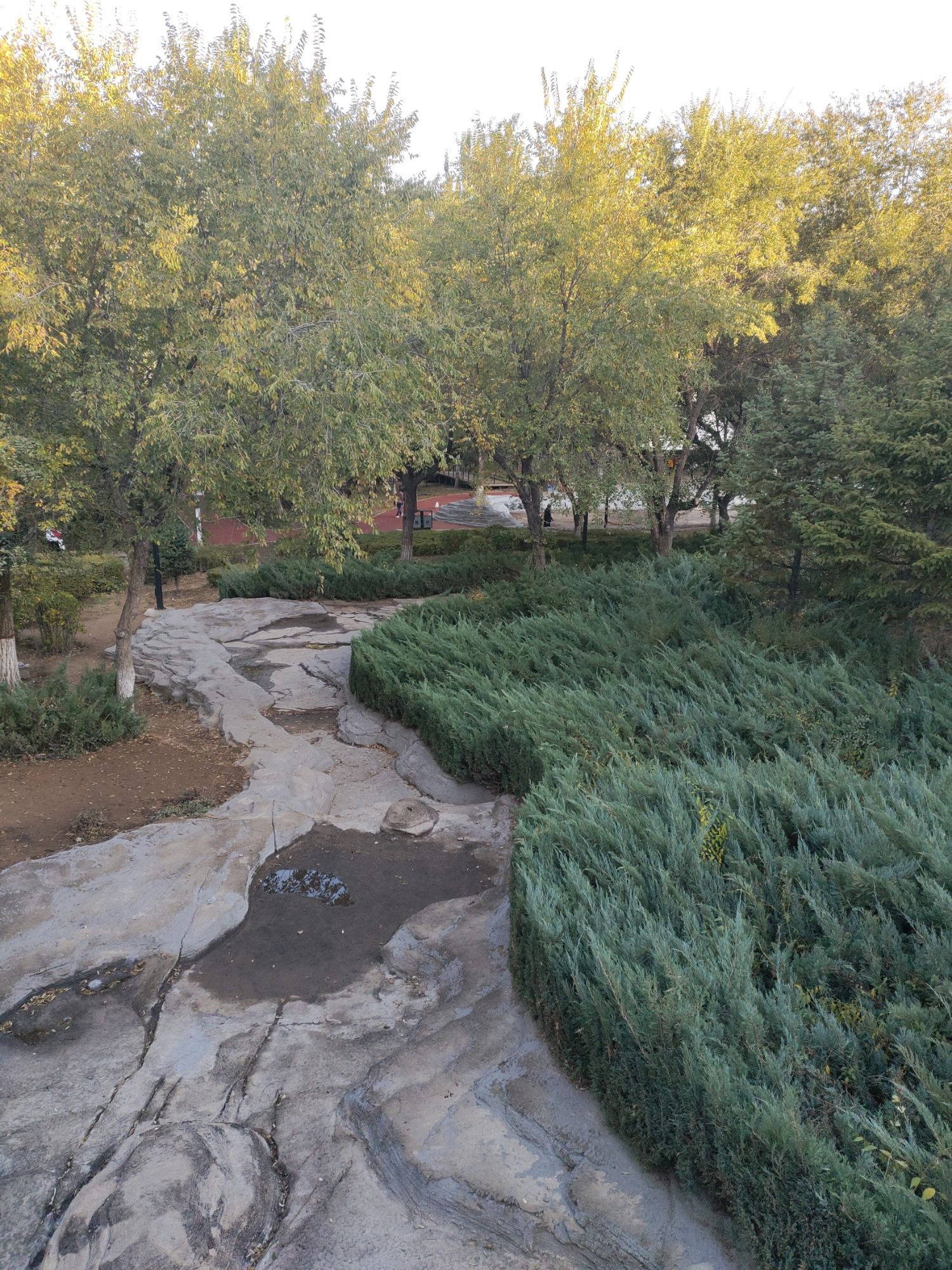 青山公园旅行图片 1