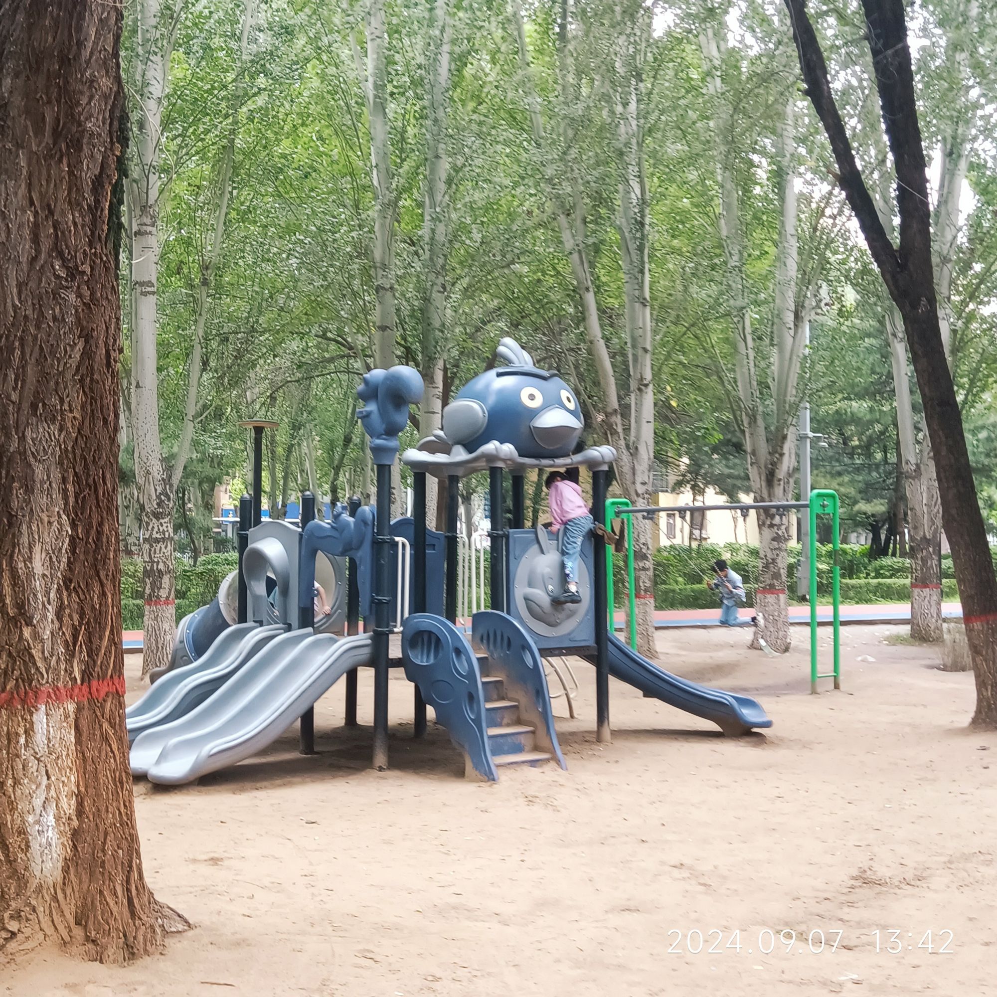 青山公园旅行图片 3