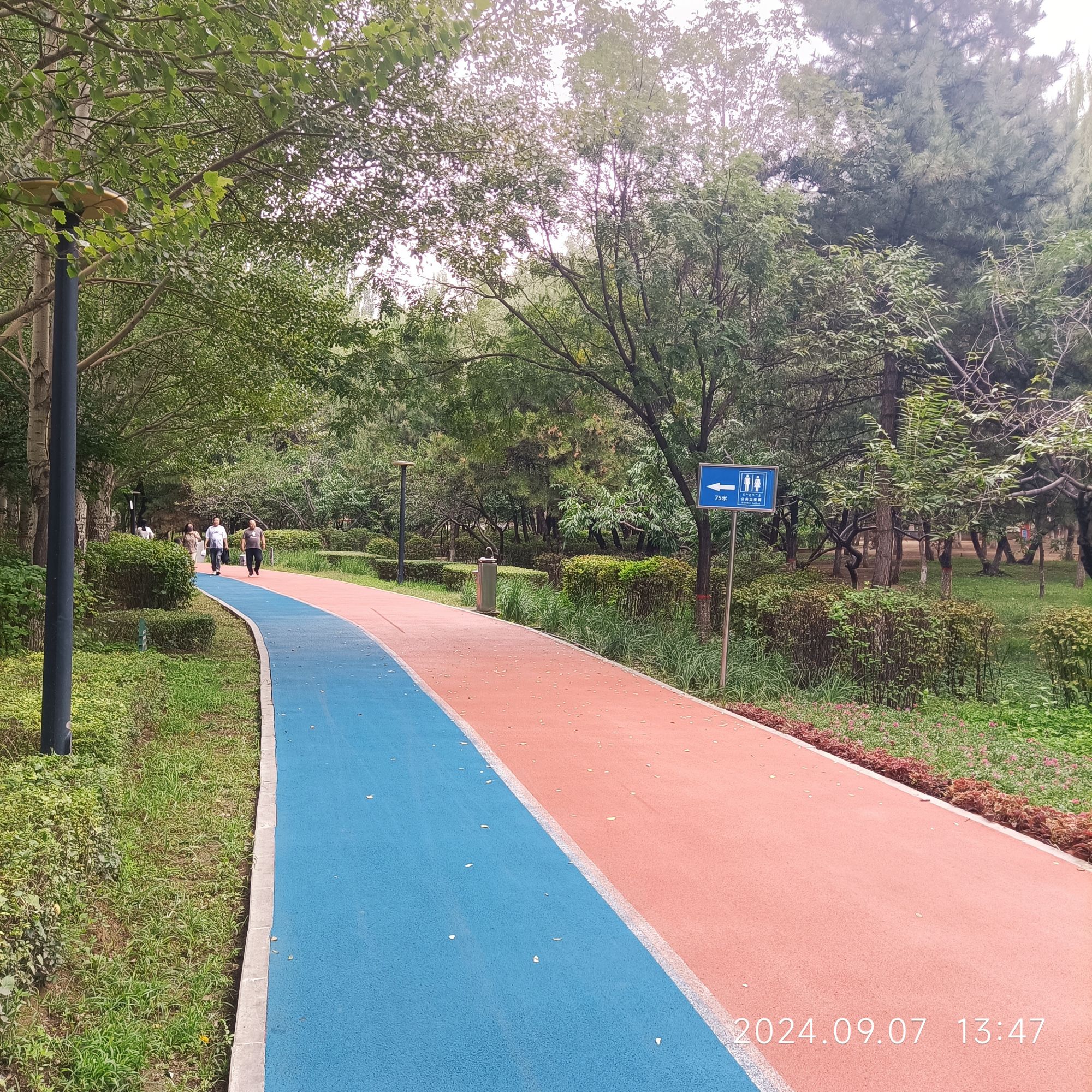 青山公园旅行图片 2