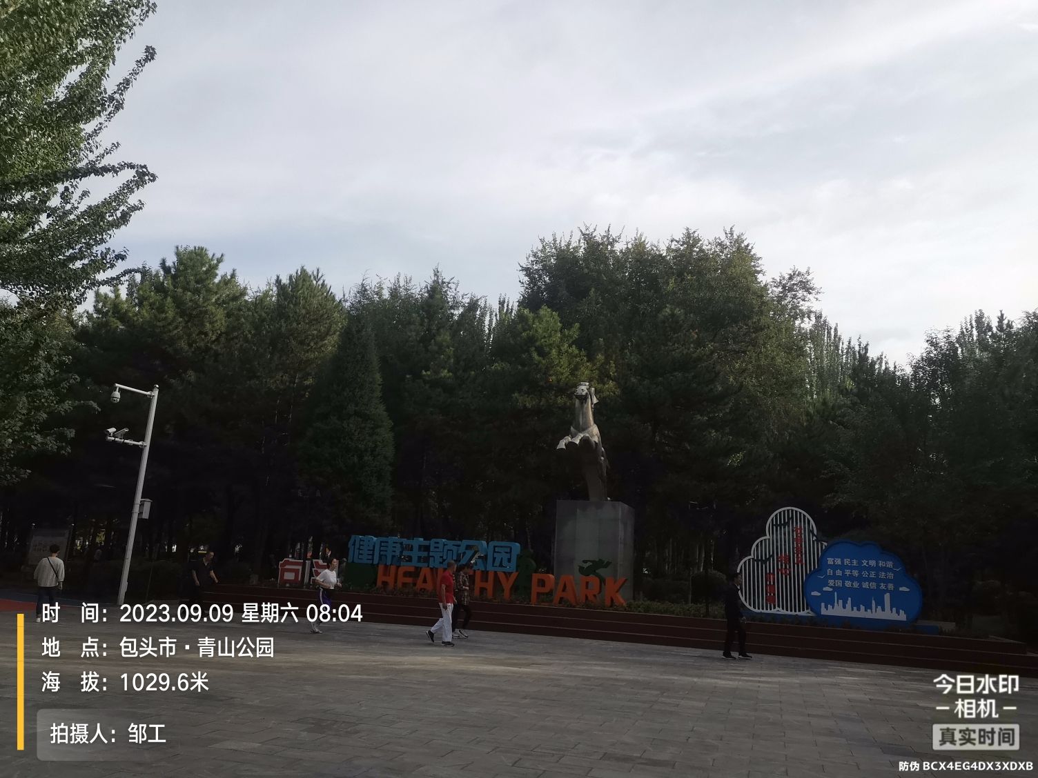 青山公园旅行图片 1
