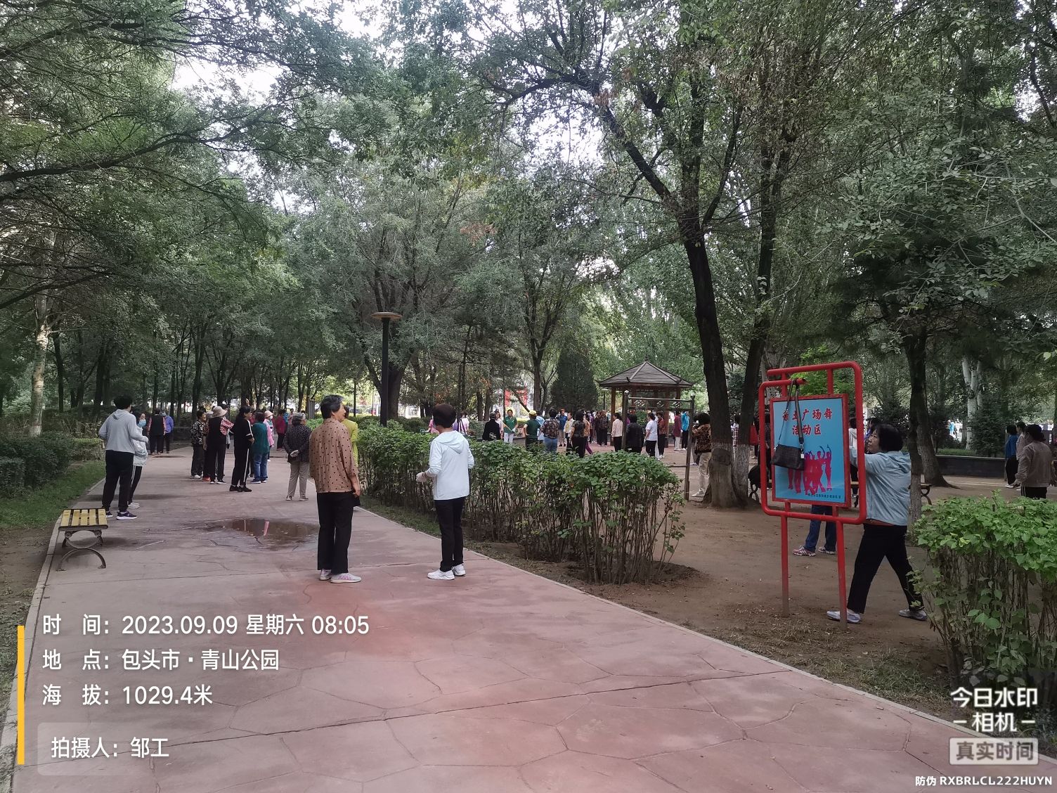 青山公园旅行图片 2