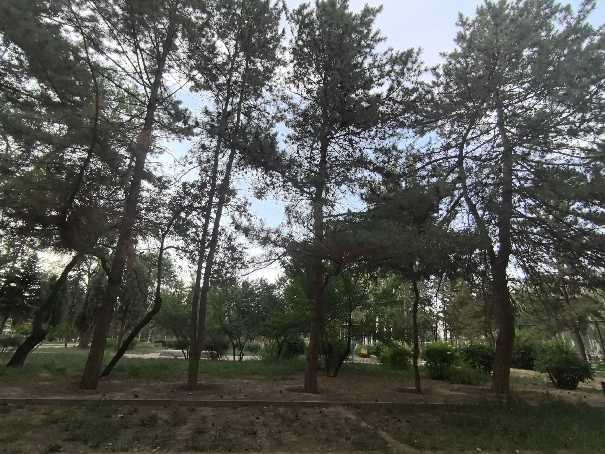 乌素图公园旅行图片 3
