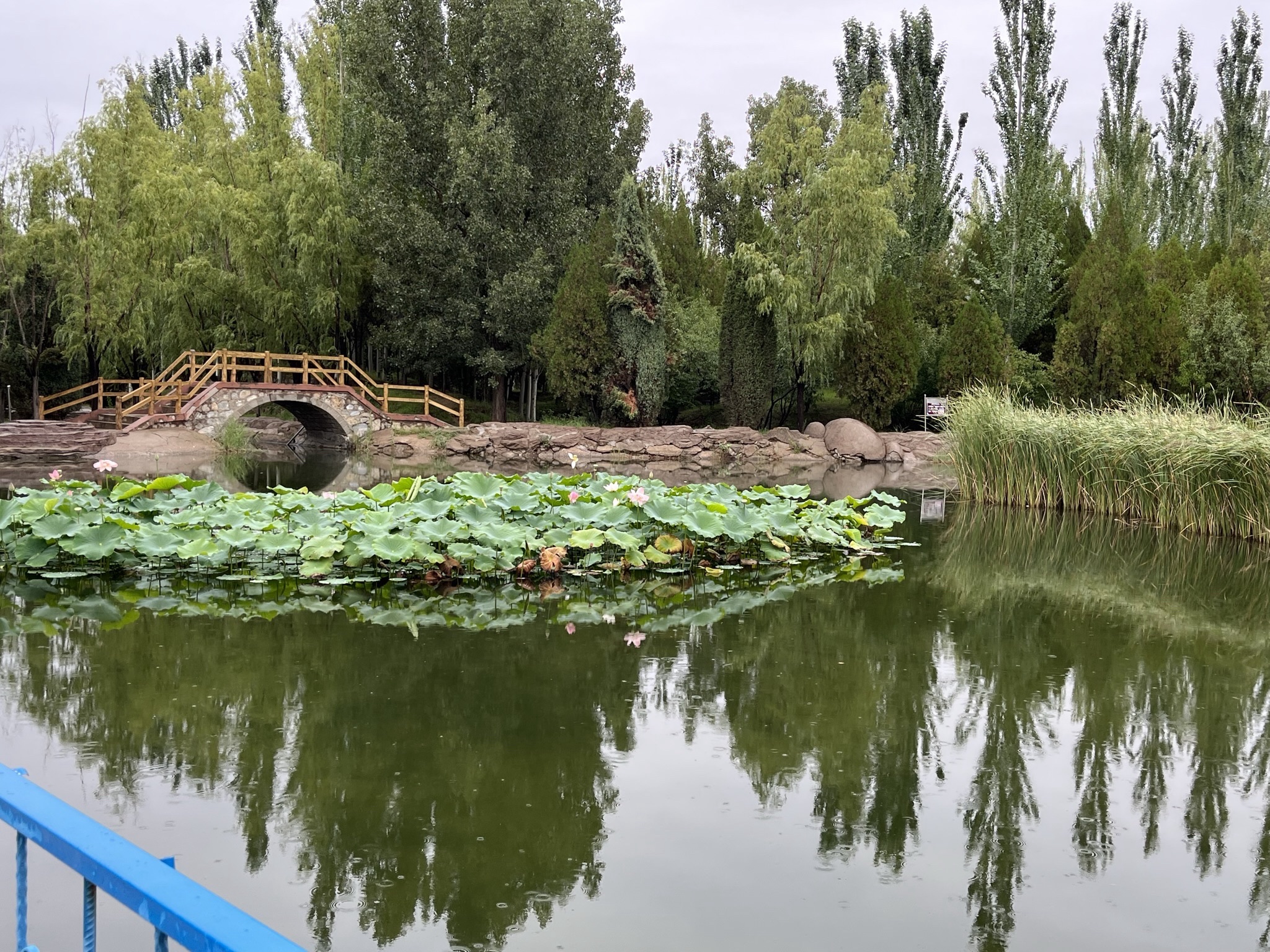 乌素图公园旅行图片 3