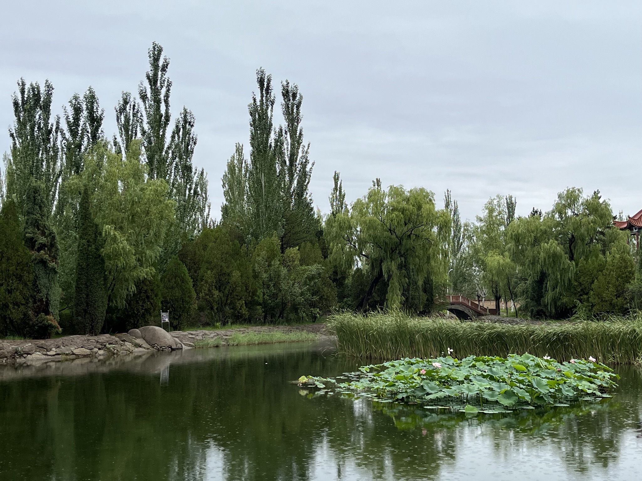 乌素图公园旅行图片 2