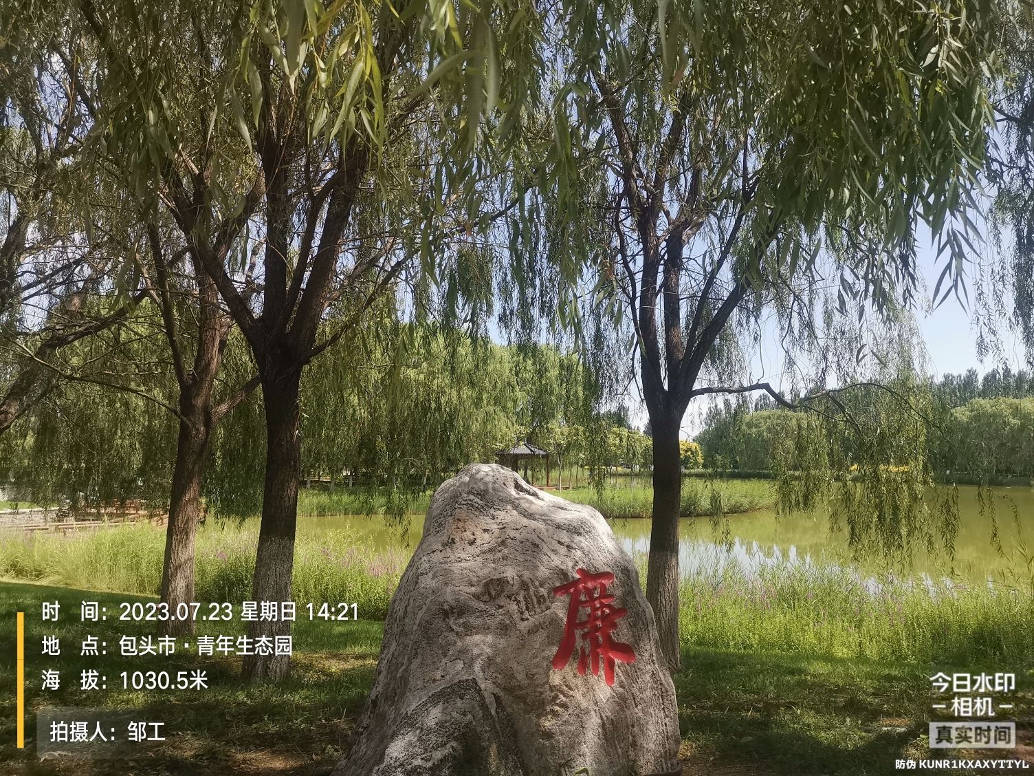 青年生态园旅行图片 3