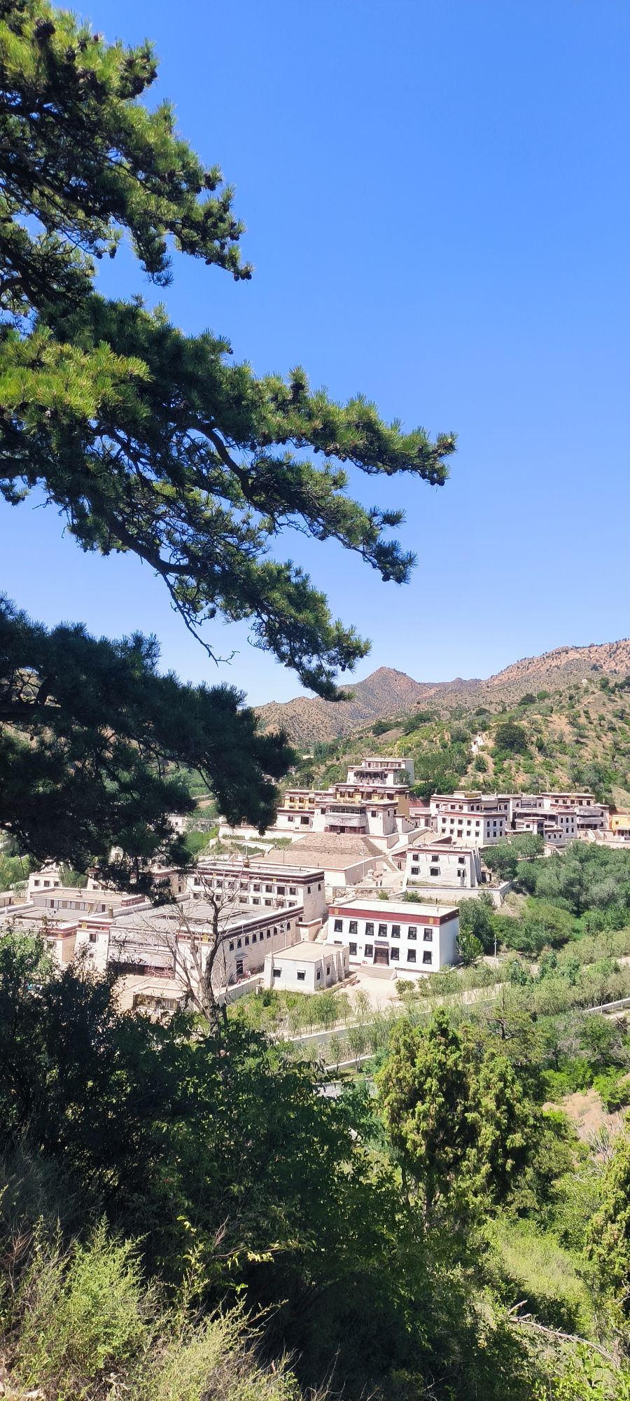 五当召旅行图片 2