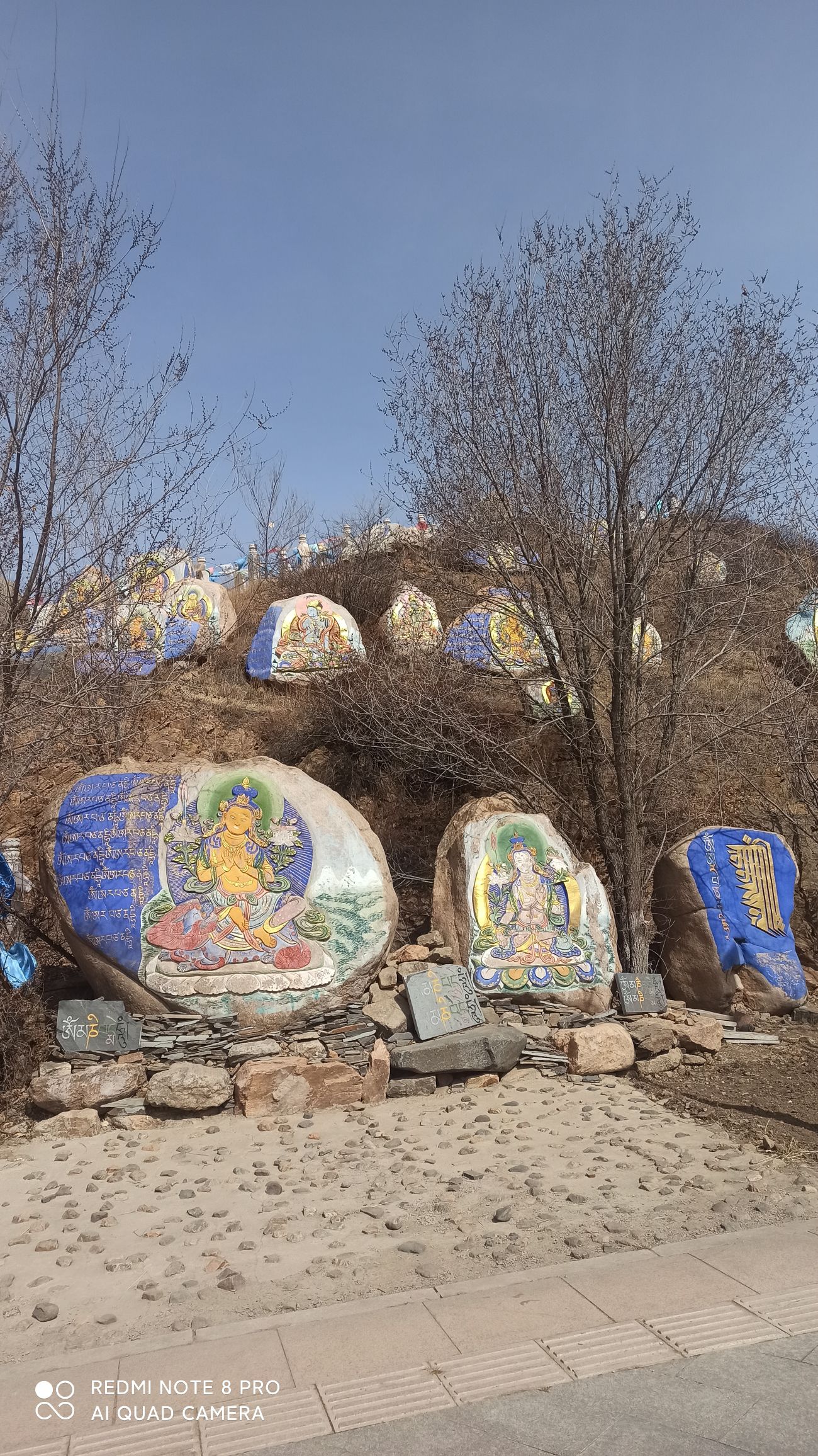五当召旅行图片 2