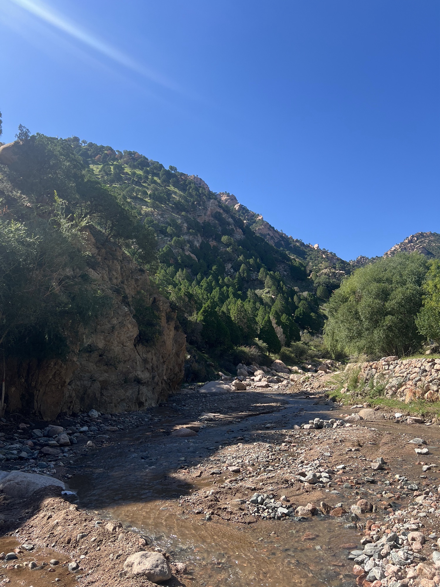 梅力更自然生态风景区旅行图片 1