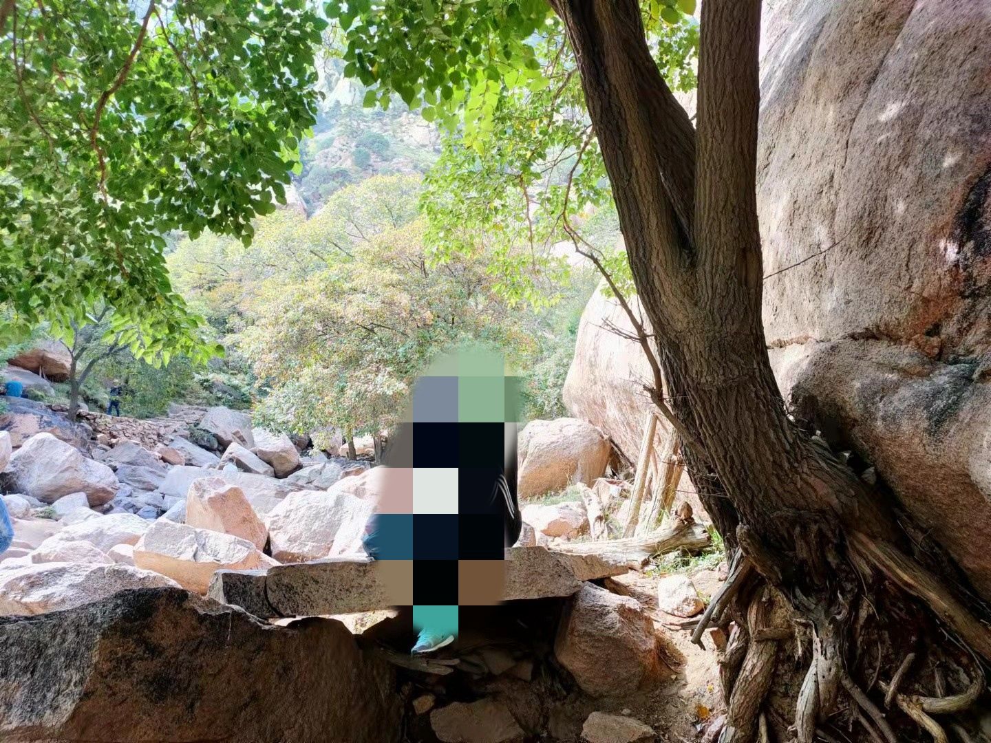 梅力更自然生态风景区旅行图片 2