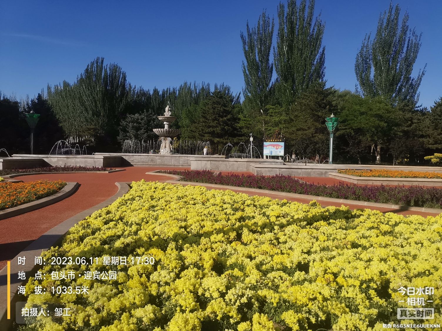 迎宾公园旅行图片 1