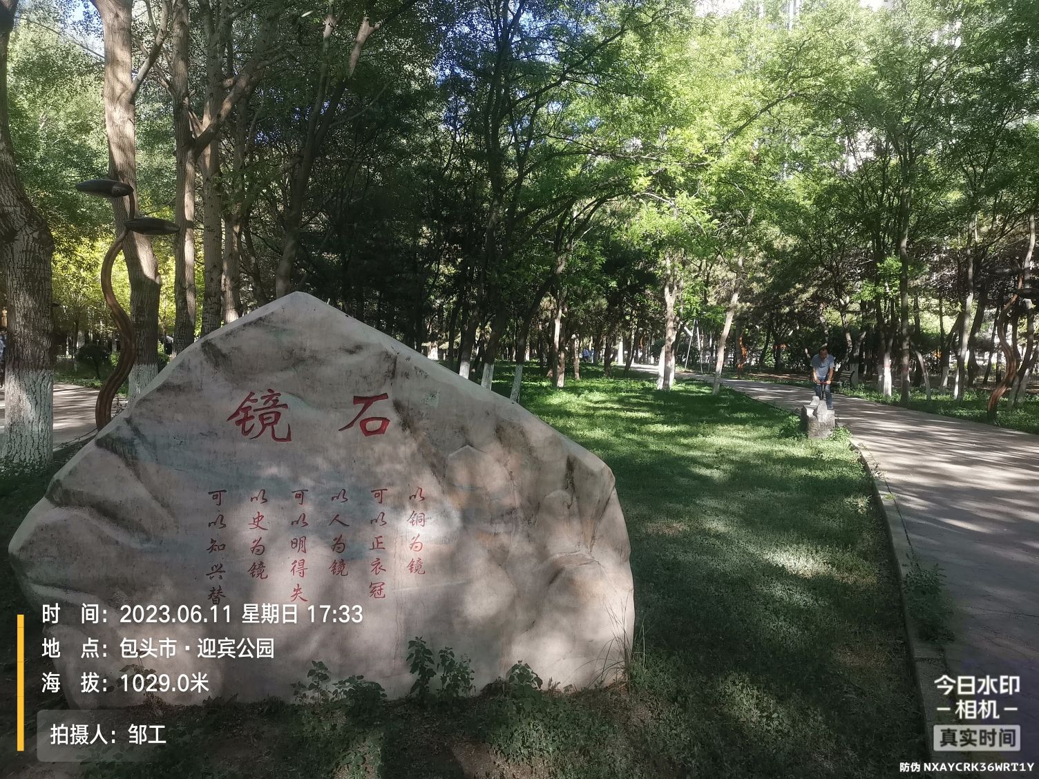 迎宾公园旅行图片 3