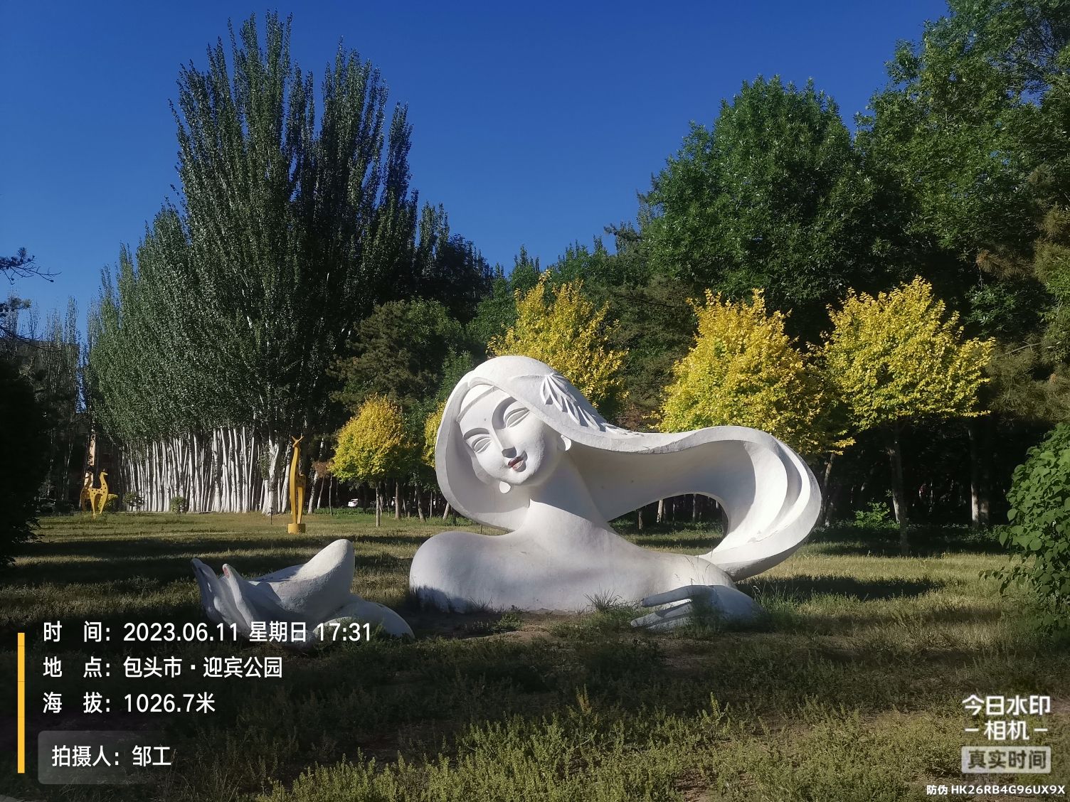 迎宾公园旅行图片 2