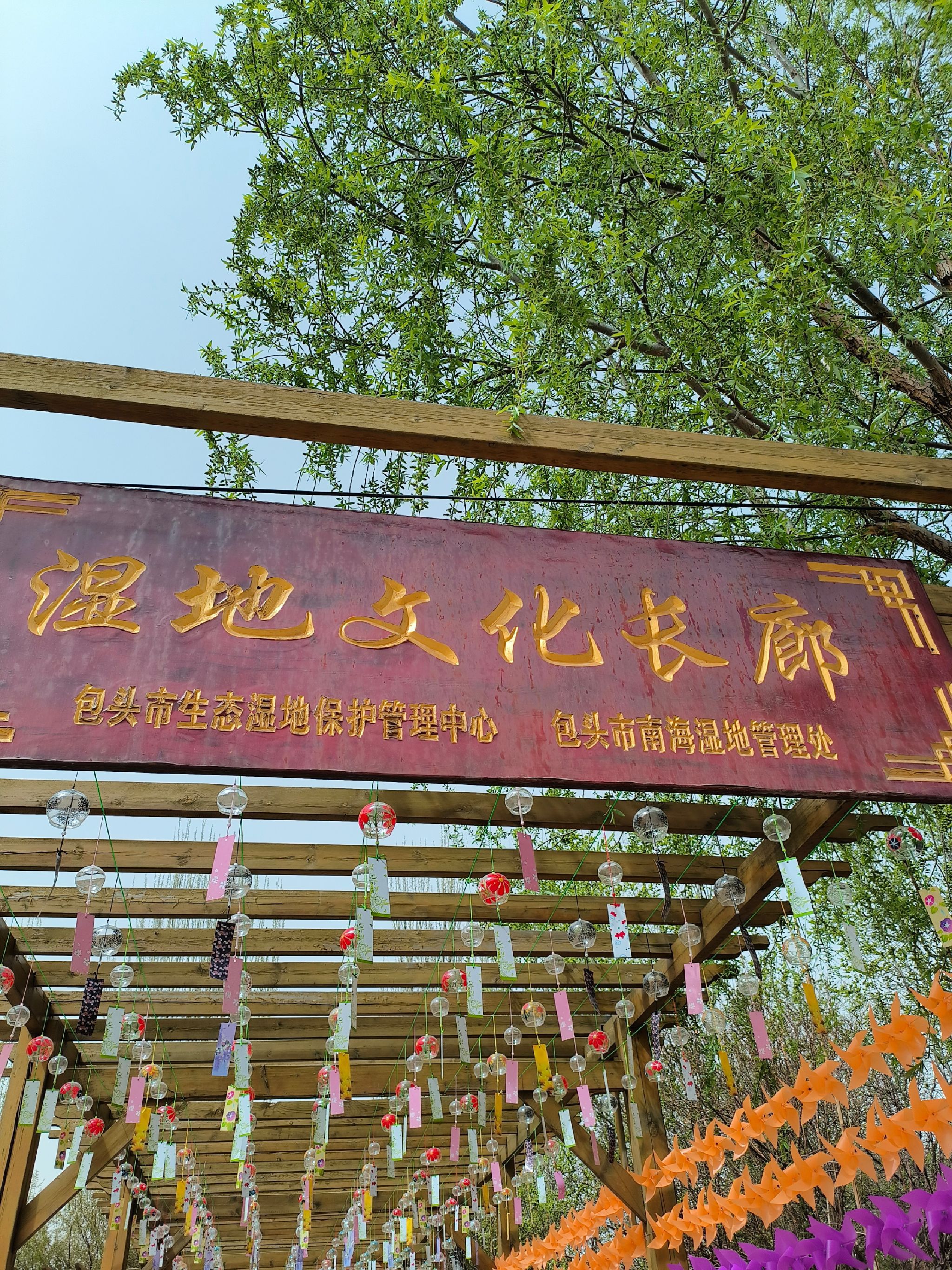 包头南海景区旅行图片 3