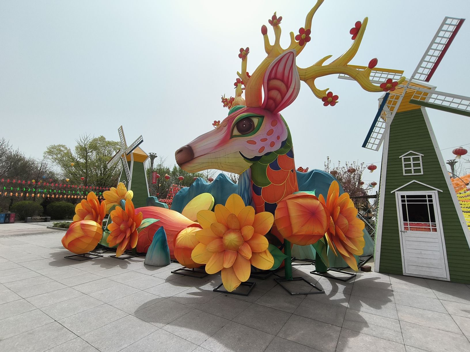 包头南海景区旅行图片 2