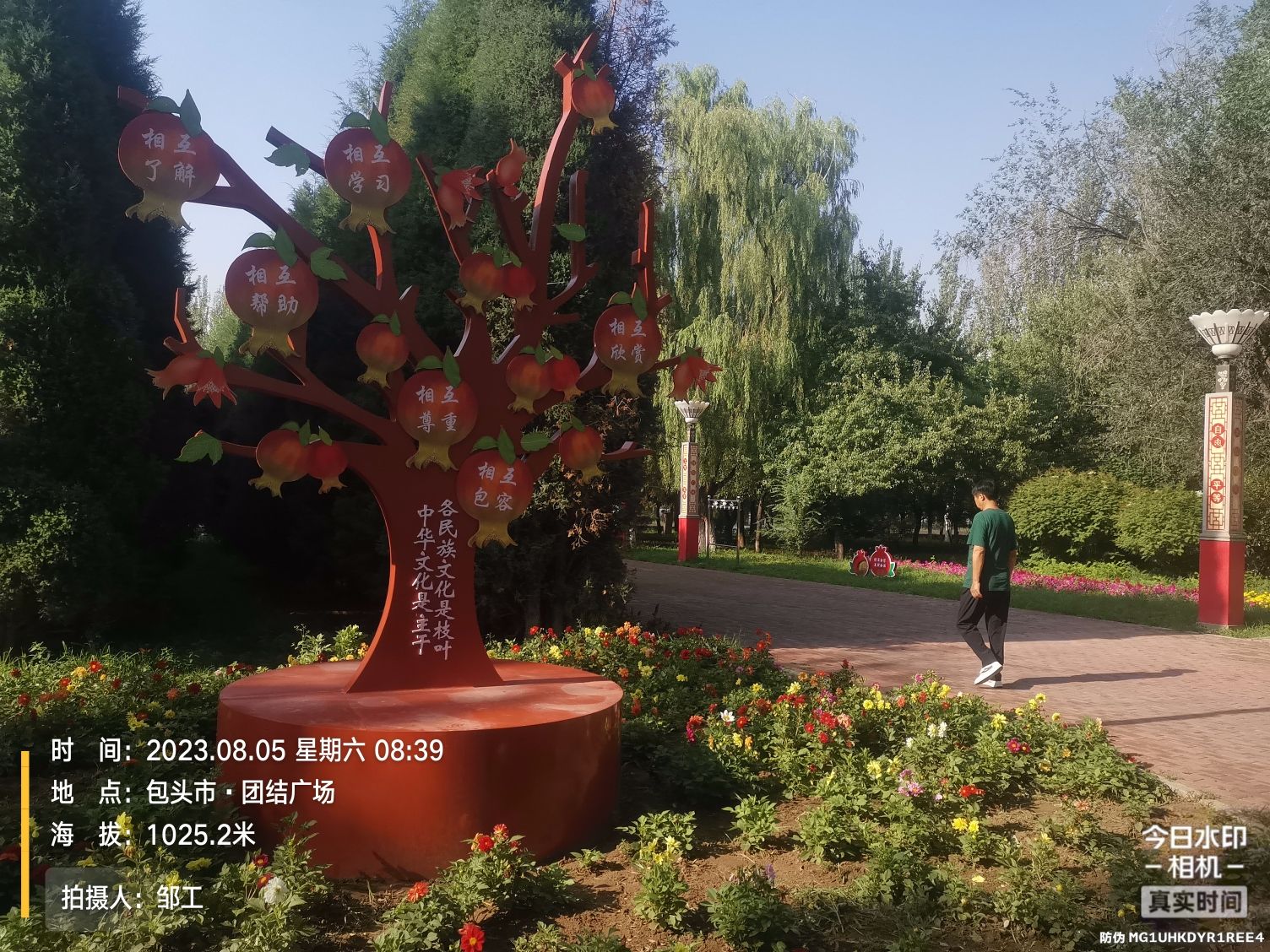 团结广场旅行图片 2