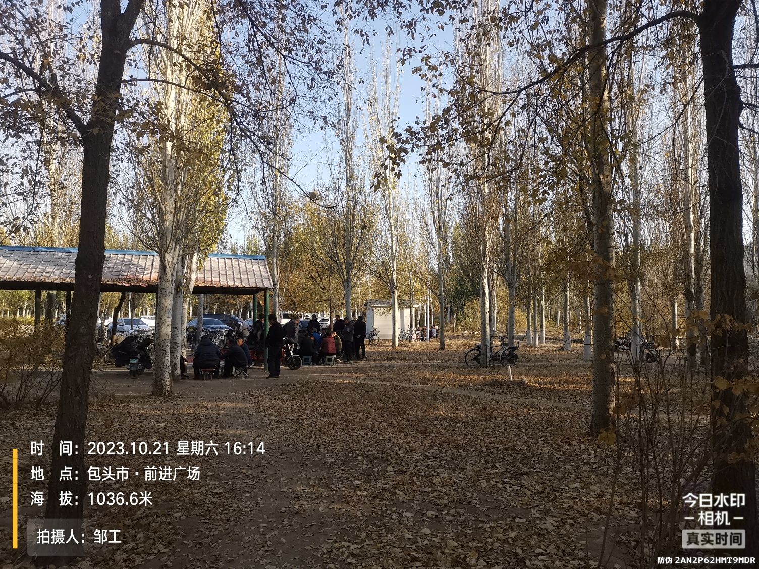 前进广场旅行图片 2