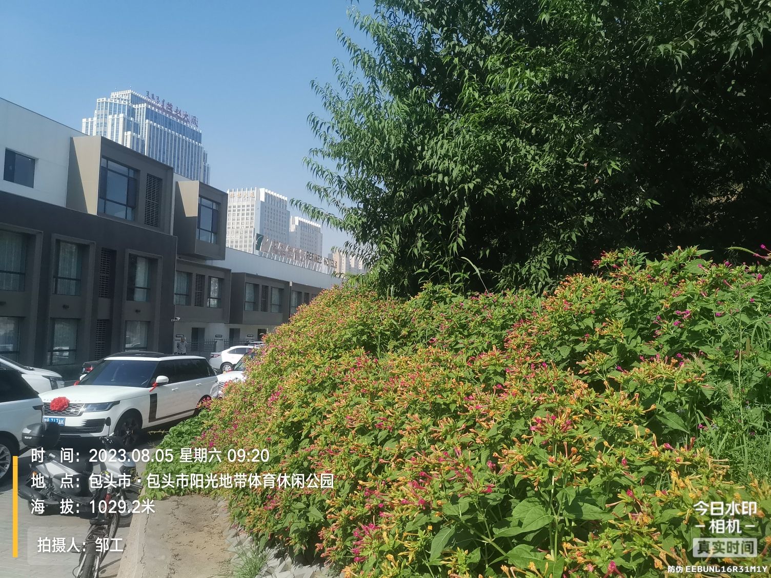 包头市阳光地带体育休闲公园旅行图片 3