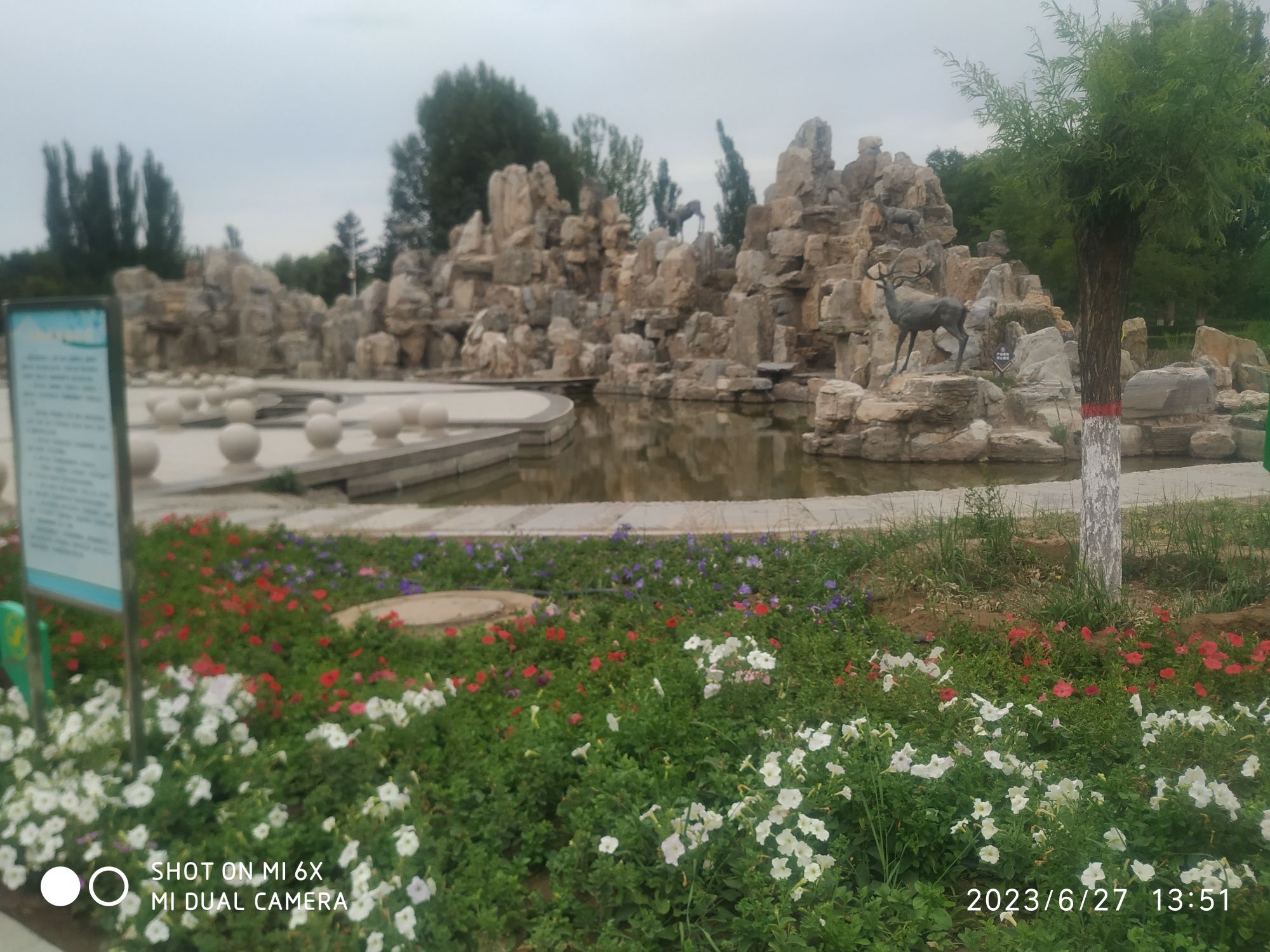 包头世界鹿园旅行图片 2